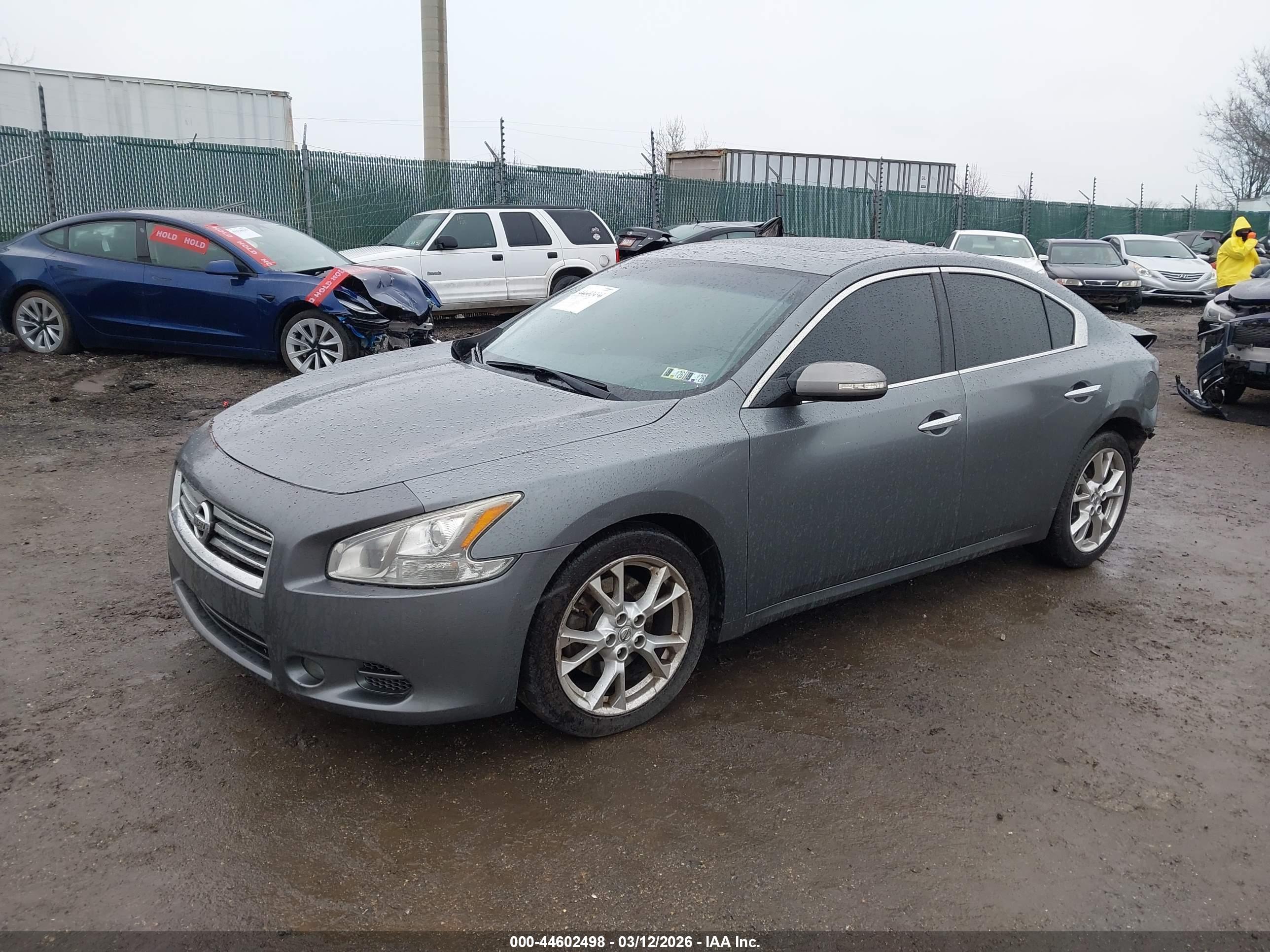 NISSAN MAXIMA image 2