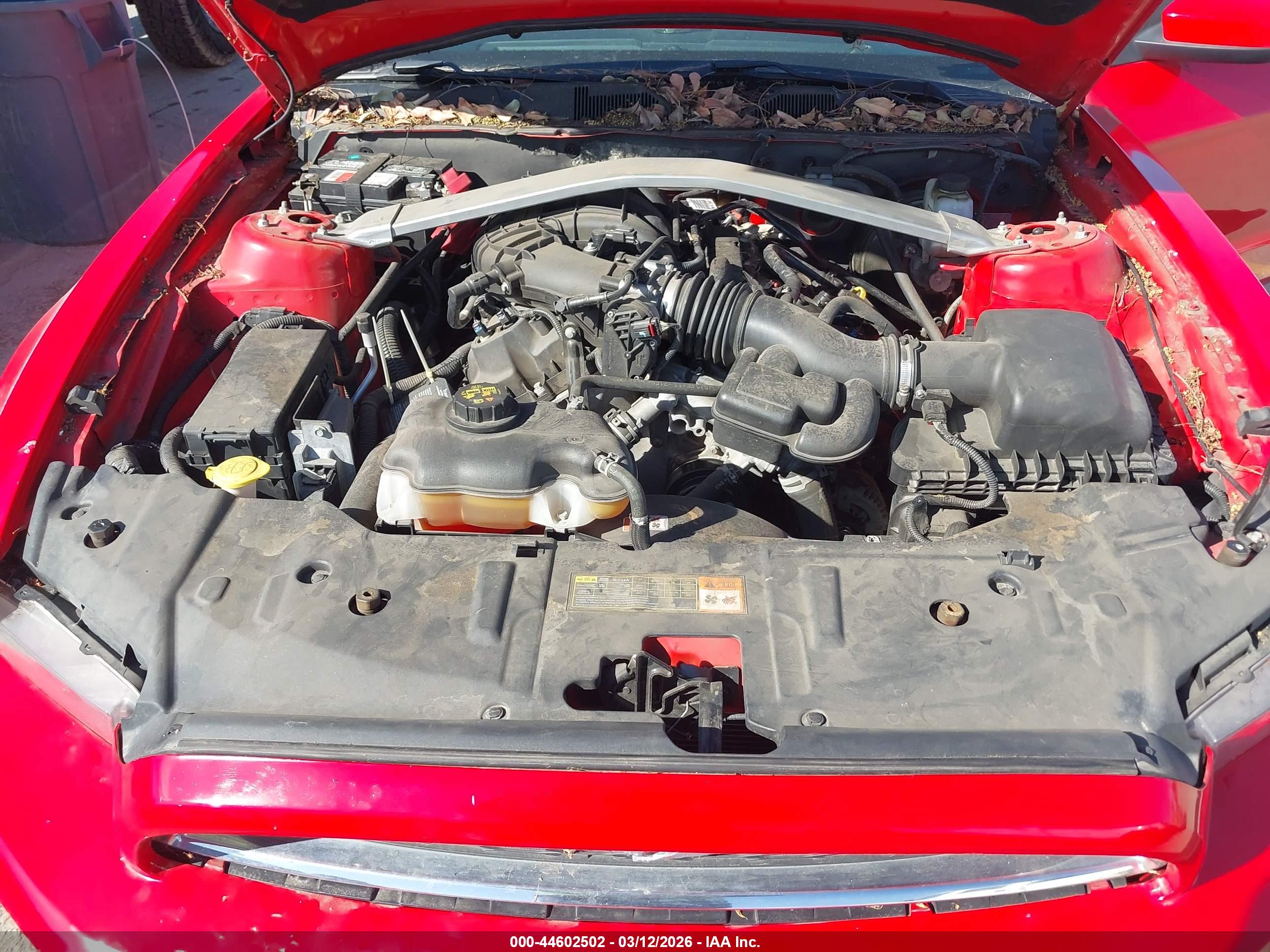 FORD MUSTANG image 10