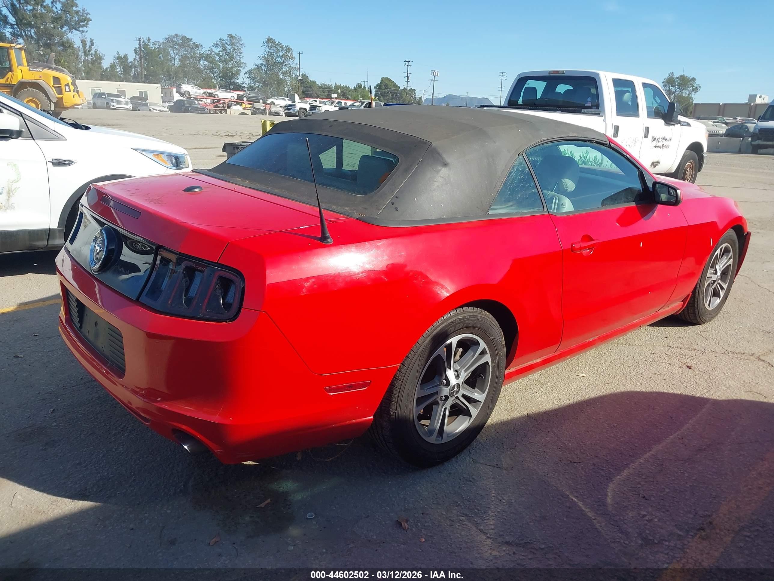 FORD MUSTANG image 4