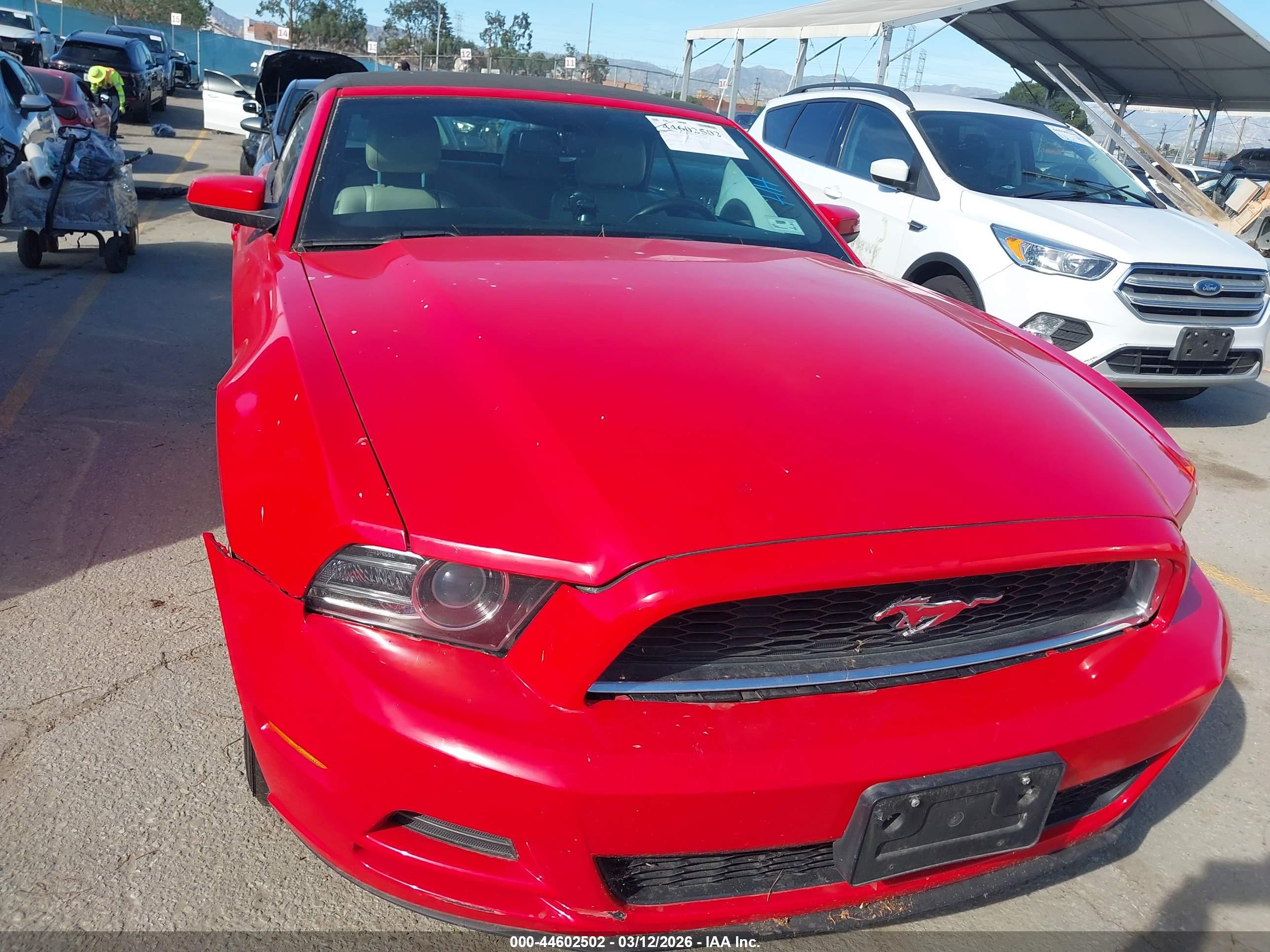 FORD MUSTANG image 6
