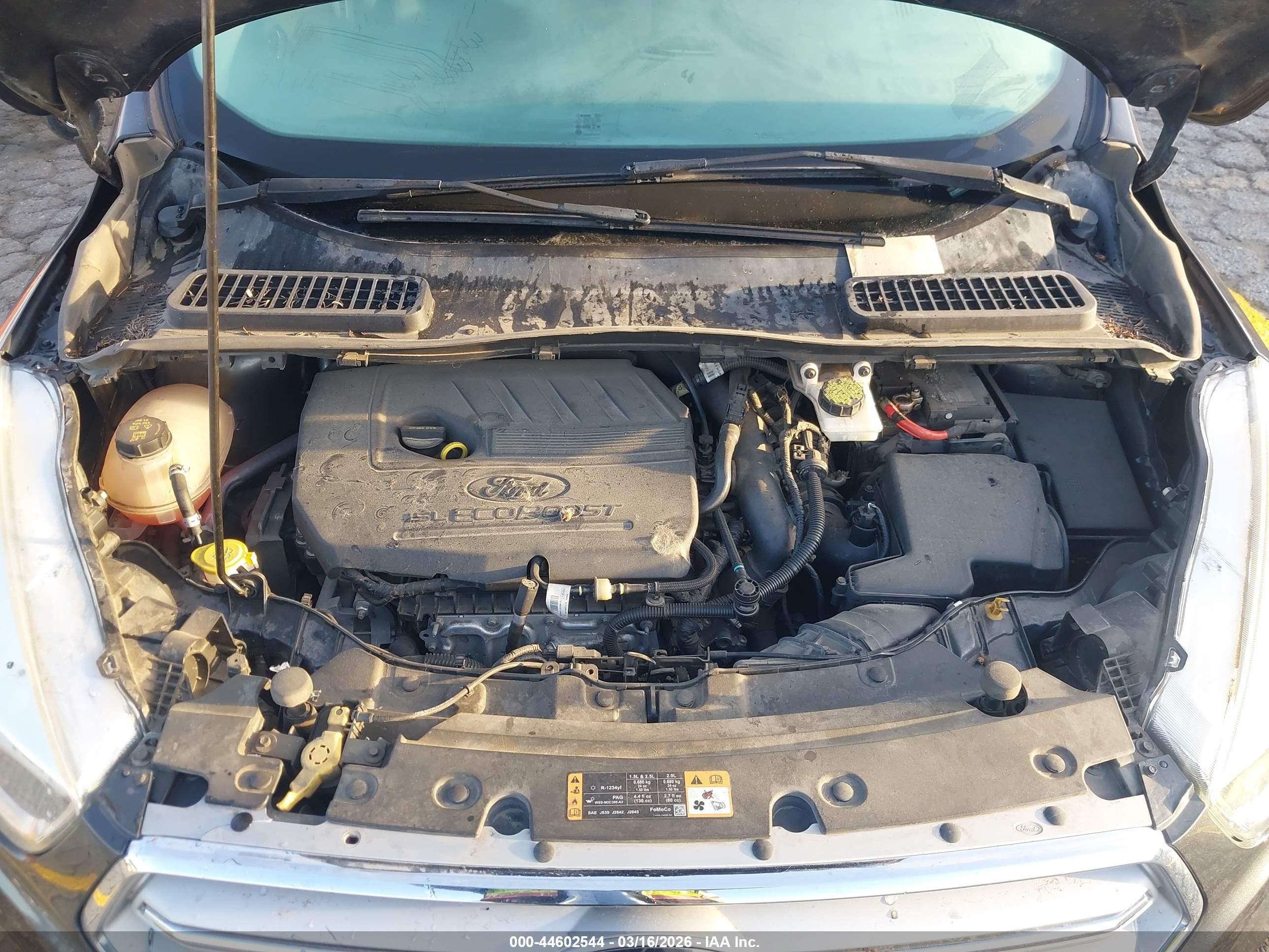 FORD ESCAPE image 10