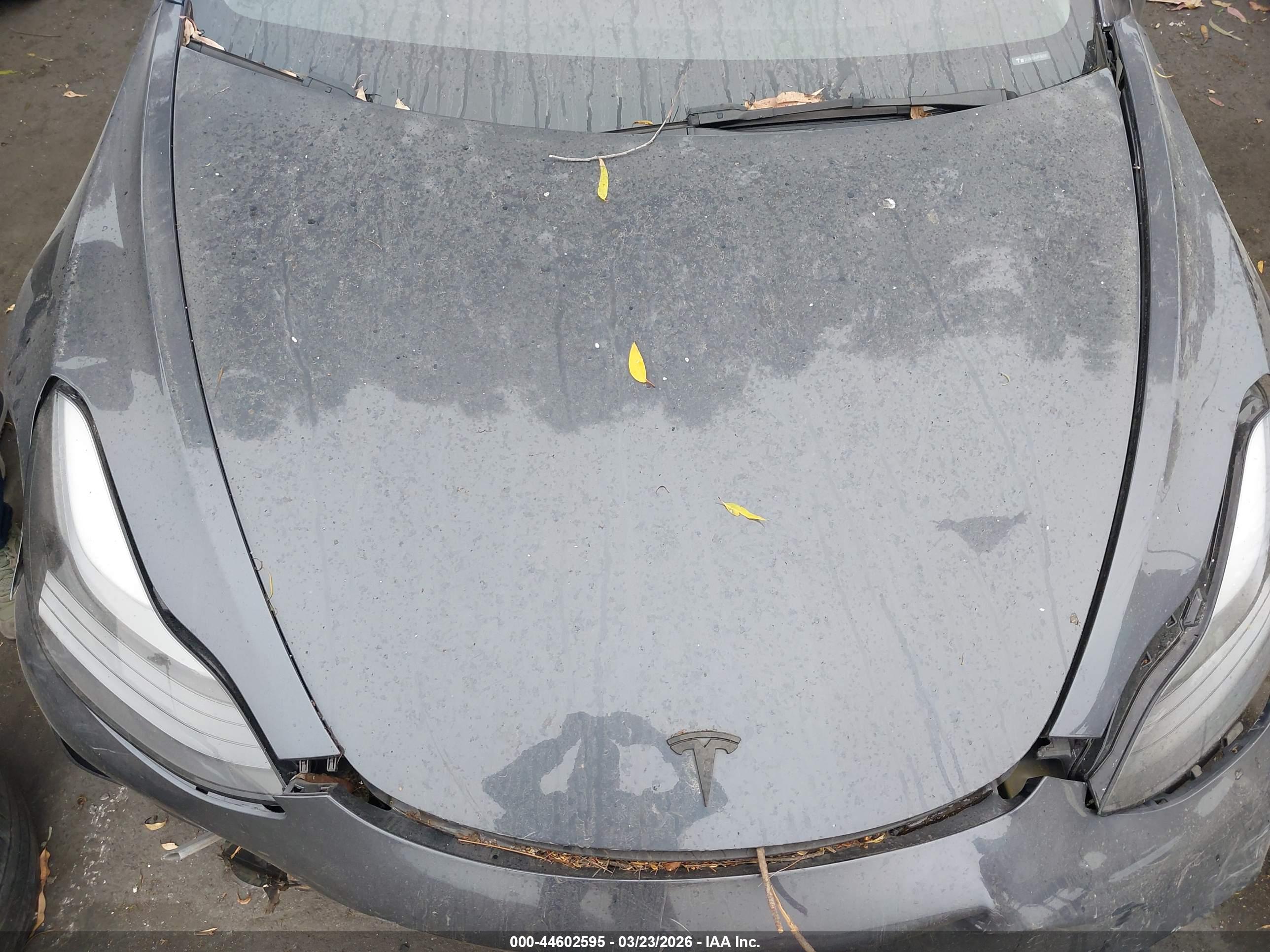 TESLA MODEL image 10