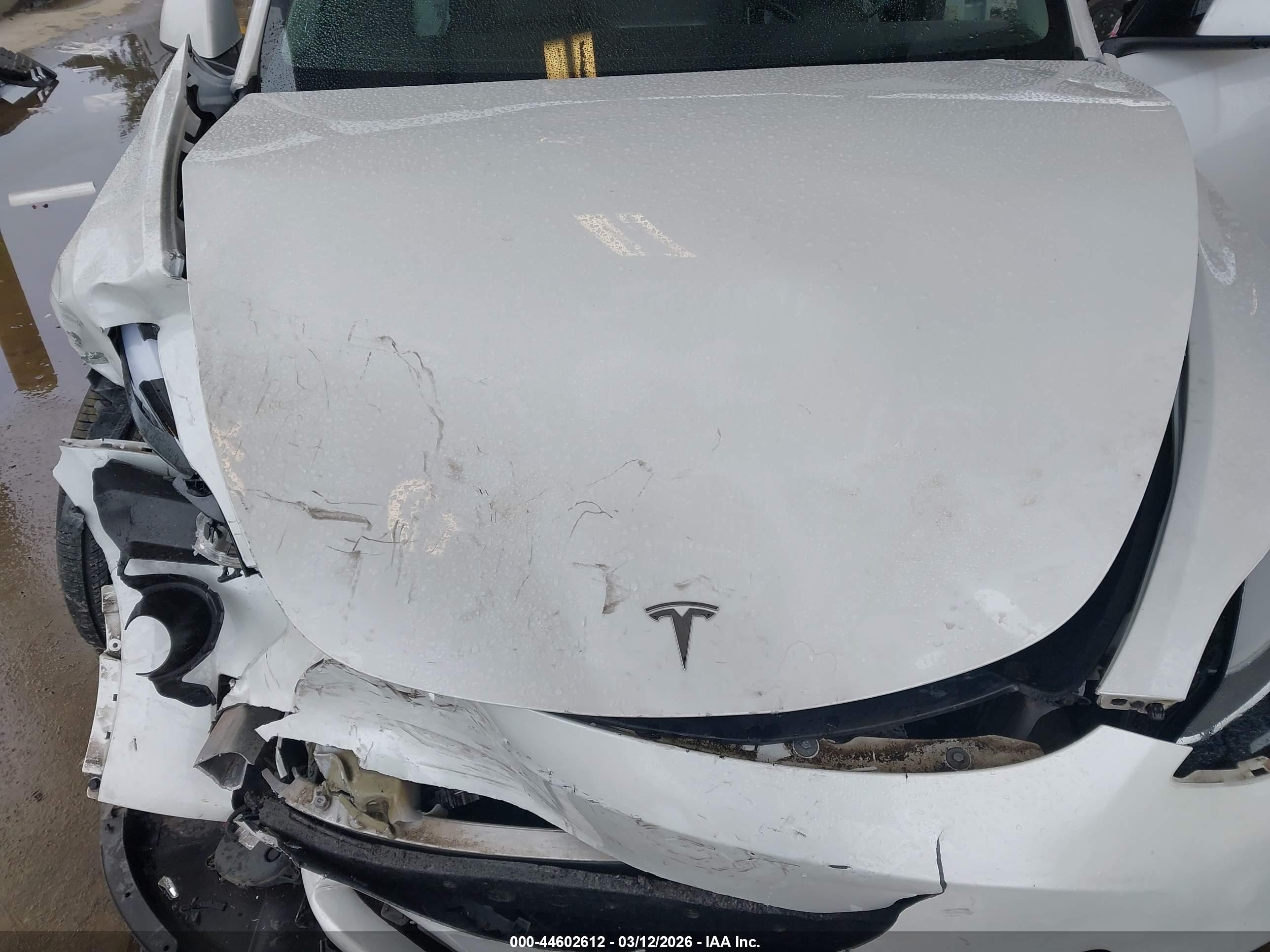 TESLA MODEL image 10