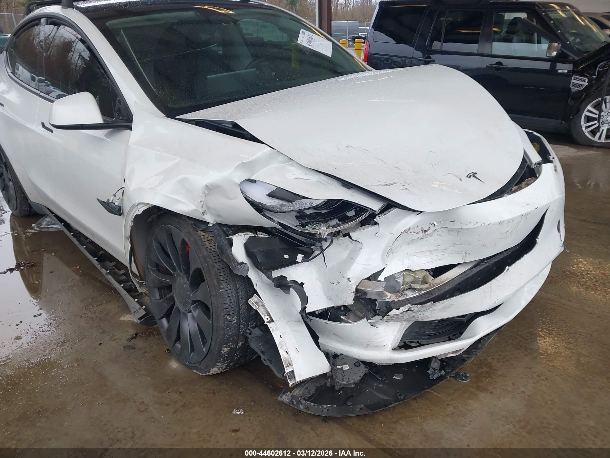 TESLA MODEL image 6