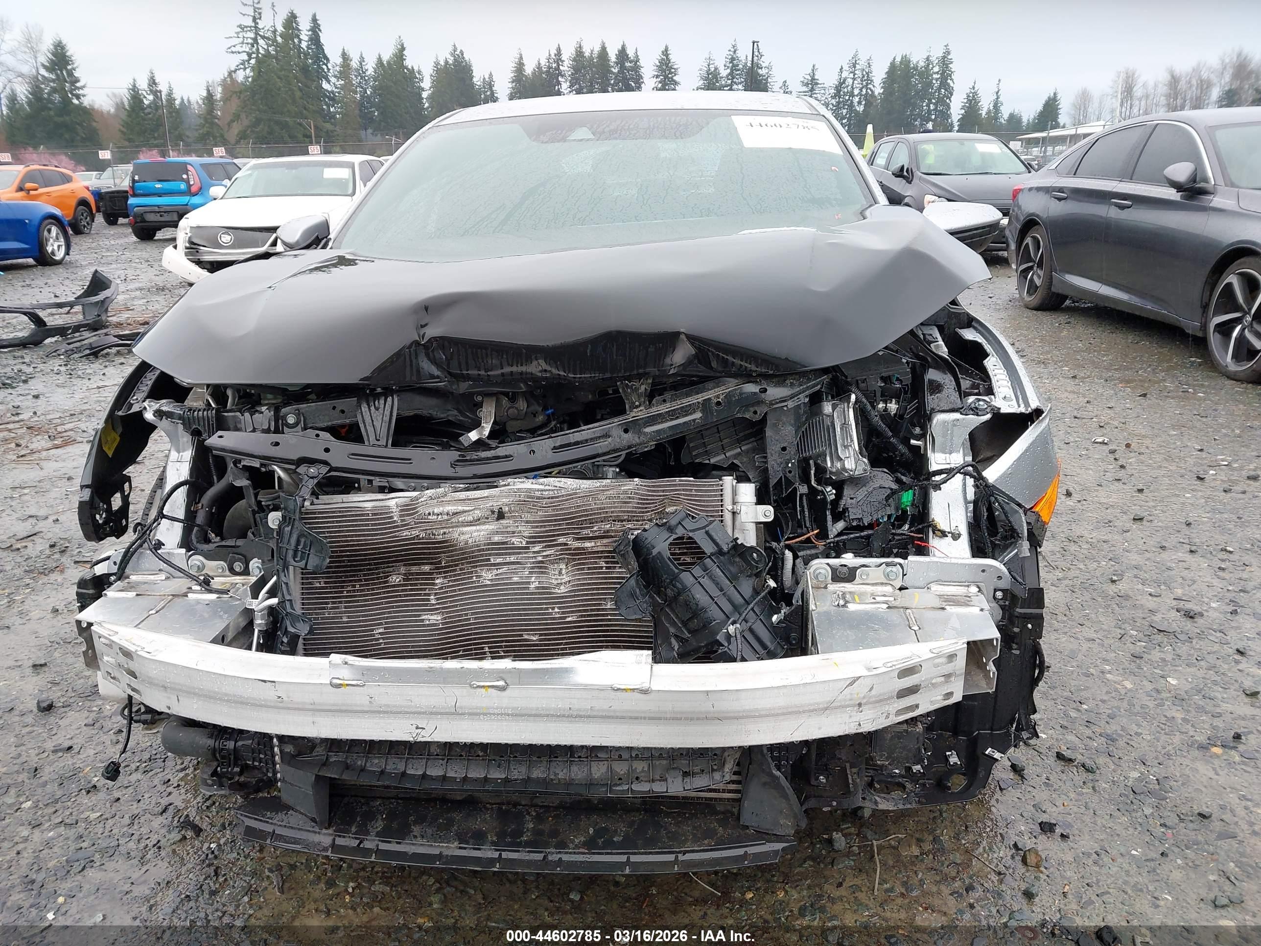 HONDA CIVIC image 6