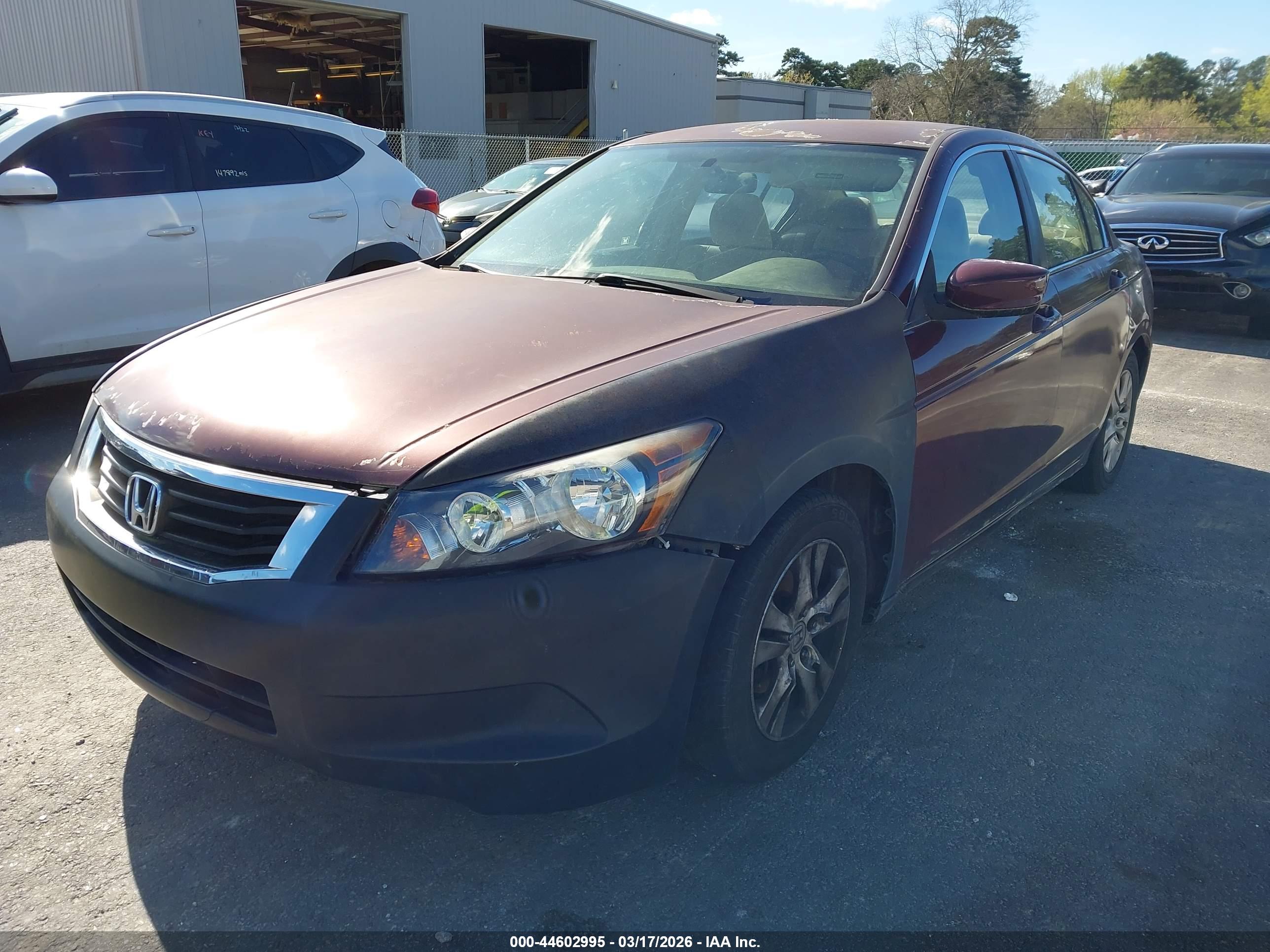 HONDA ACCORD image 2