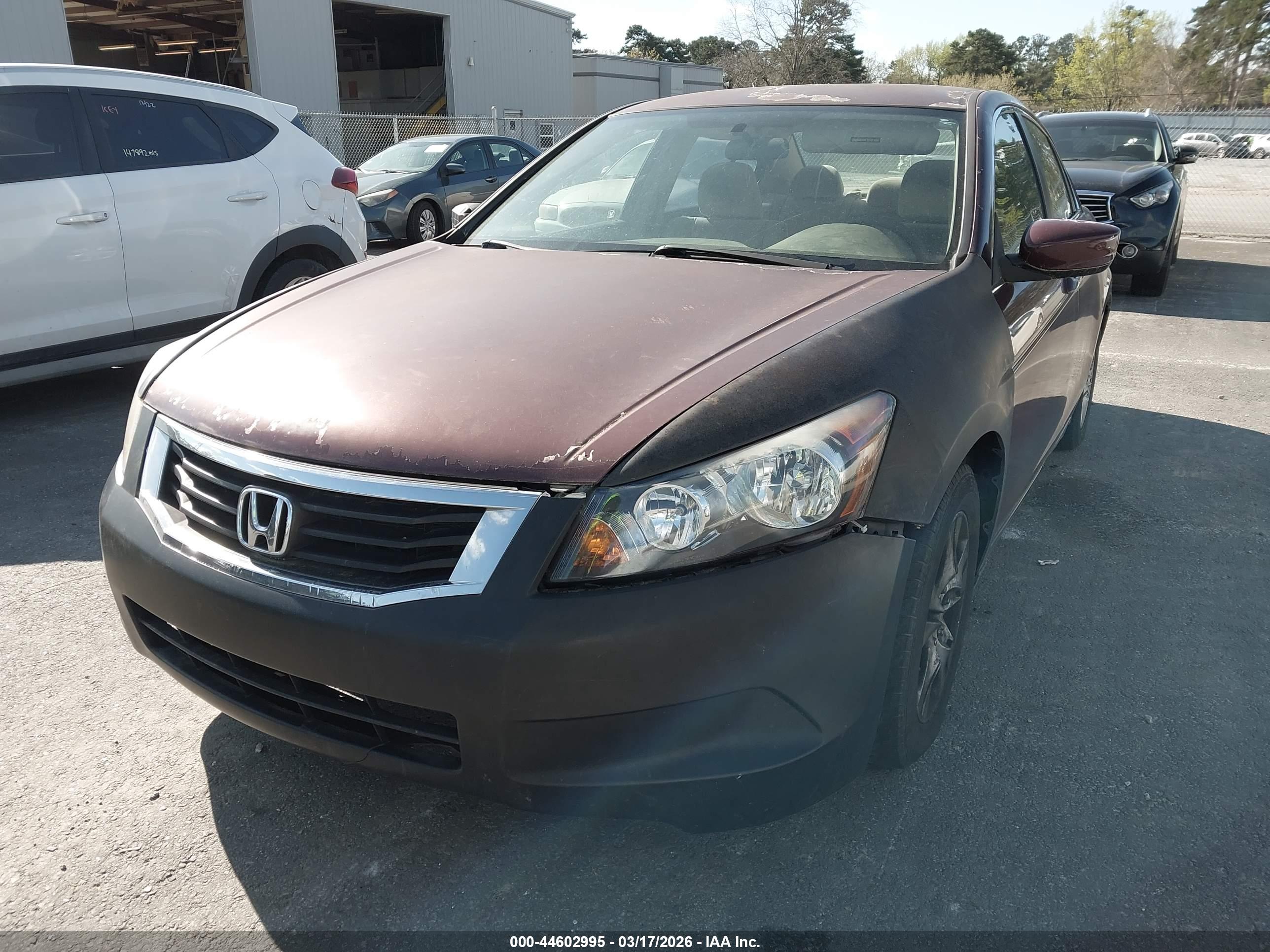 HONDA ACCORD image 6