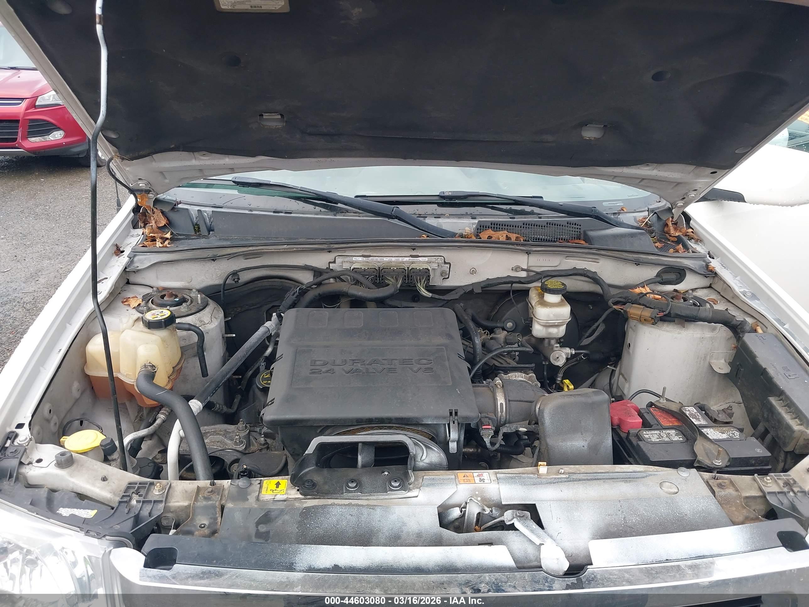 FORD ESCAPE image 10