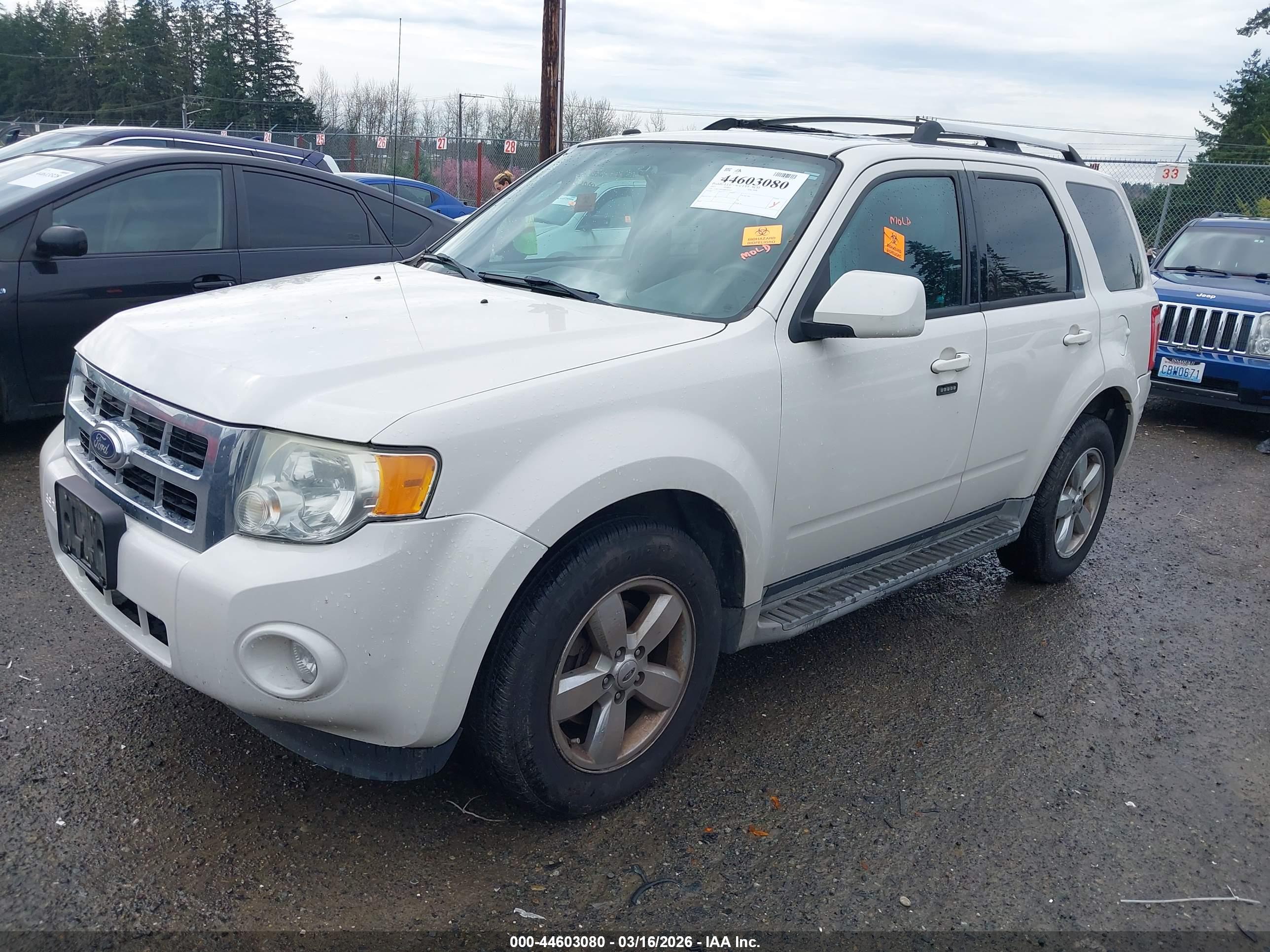 FORD ESCAPE image 2