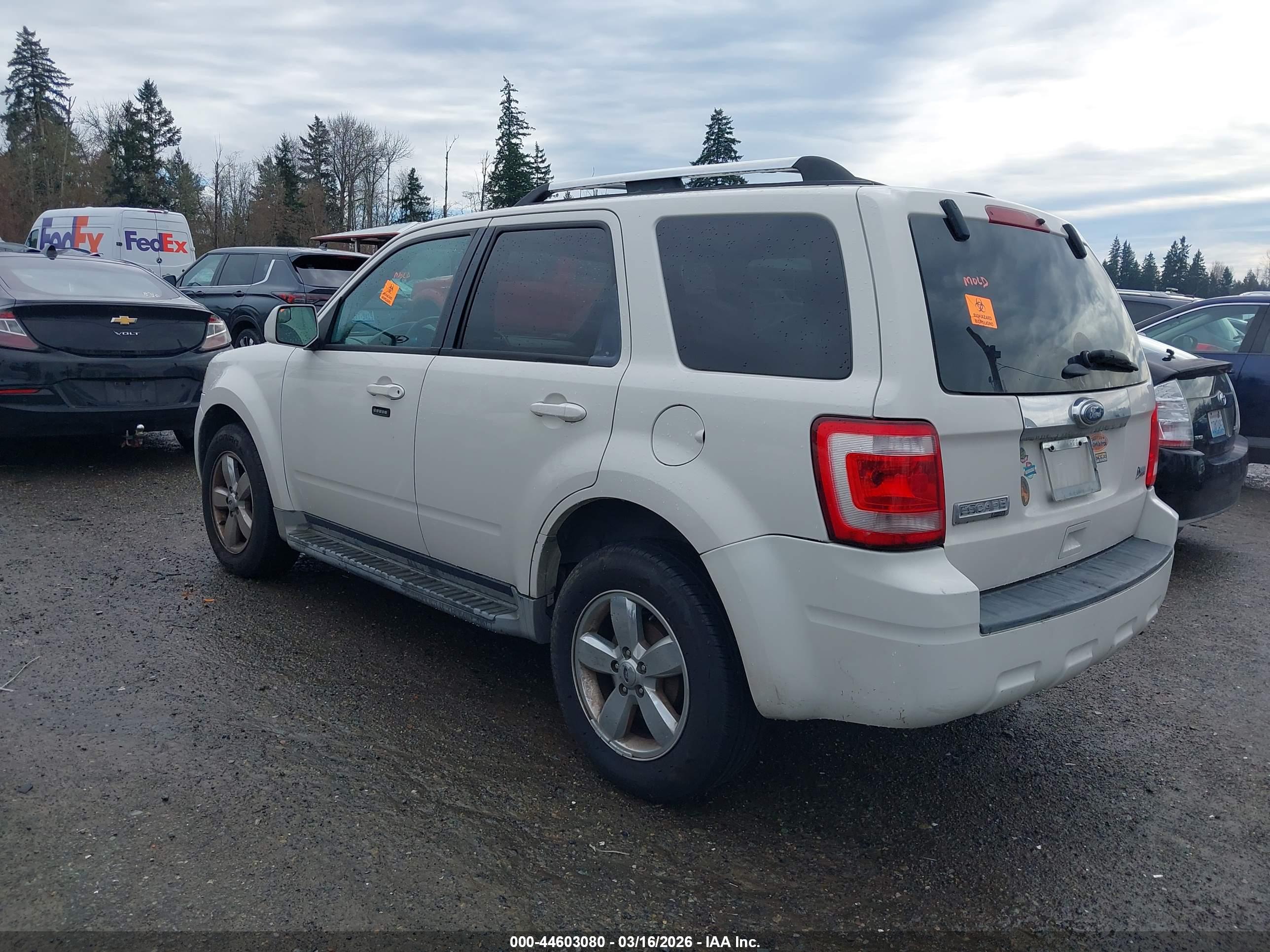 FORD ESCAPE image 3