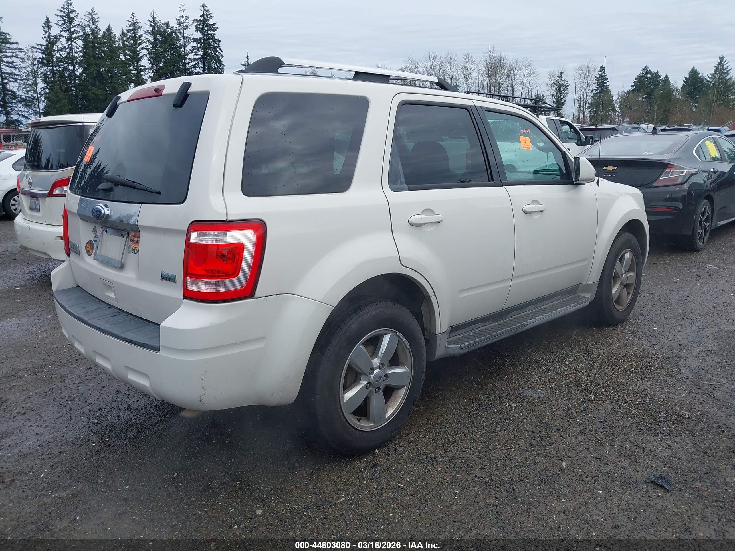 FORD ESCAPE image 4