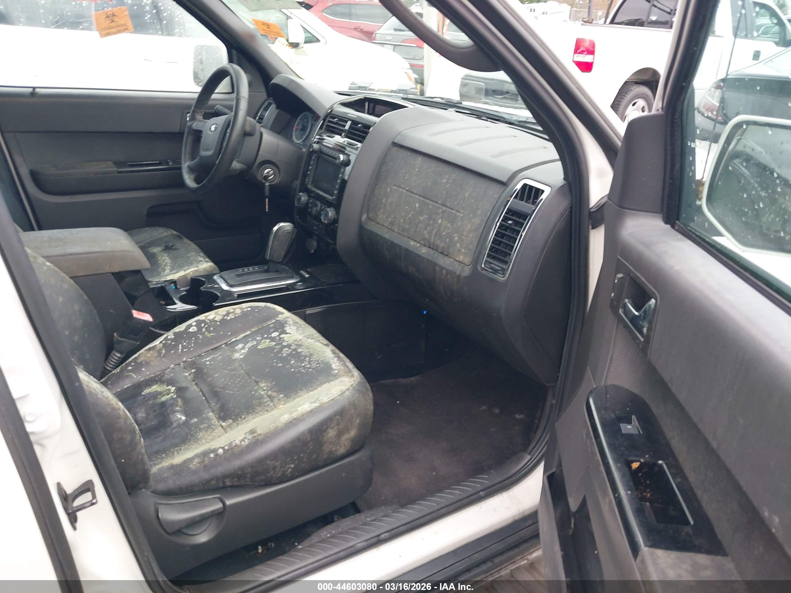 FORD ESCAPE image 5