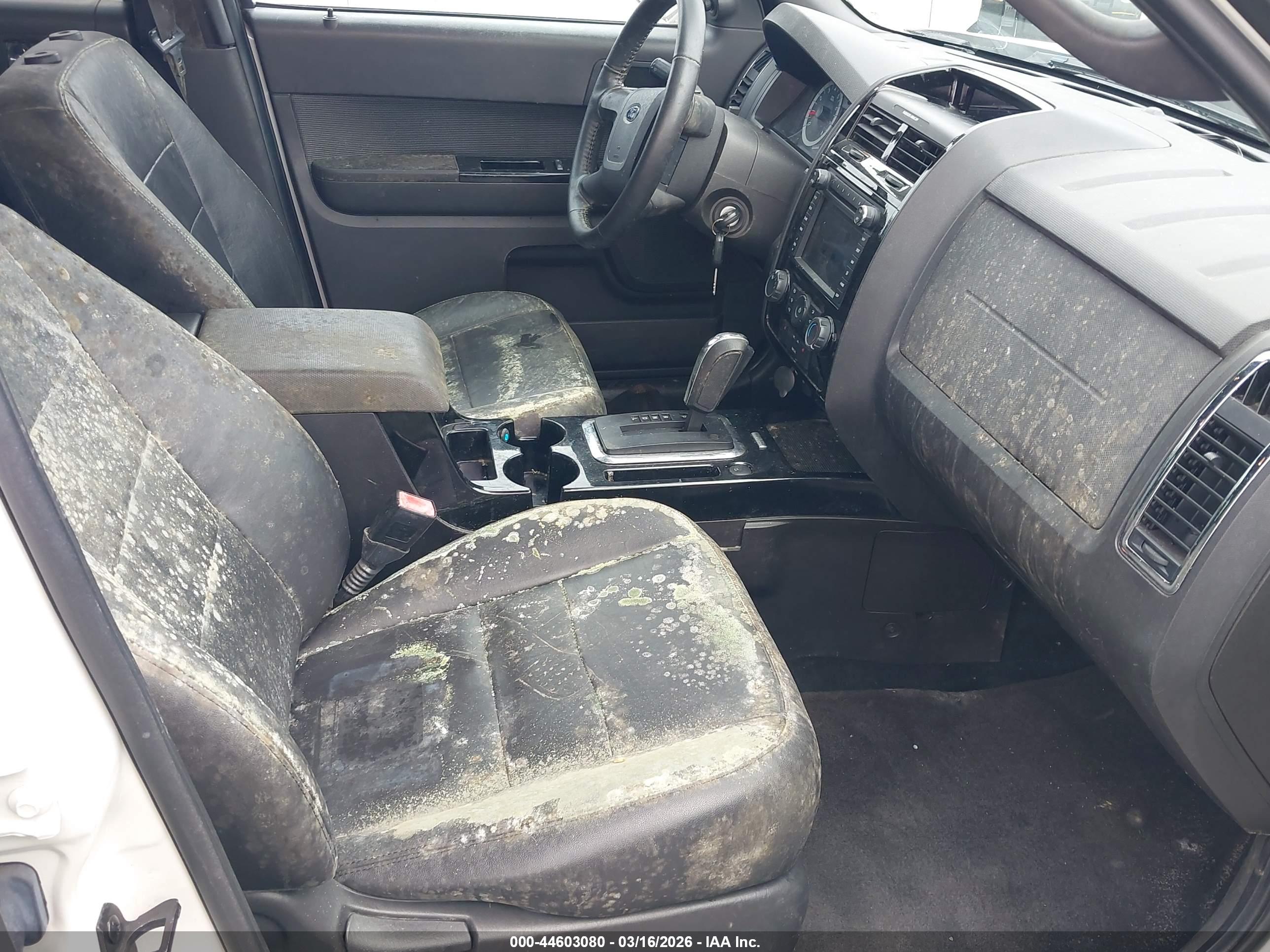FORD ESCAPE image 6