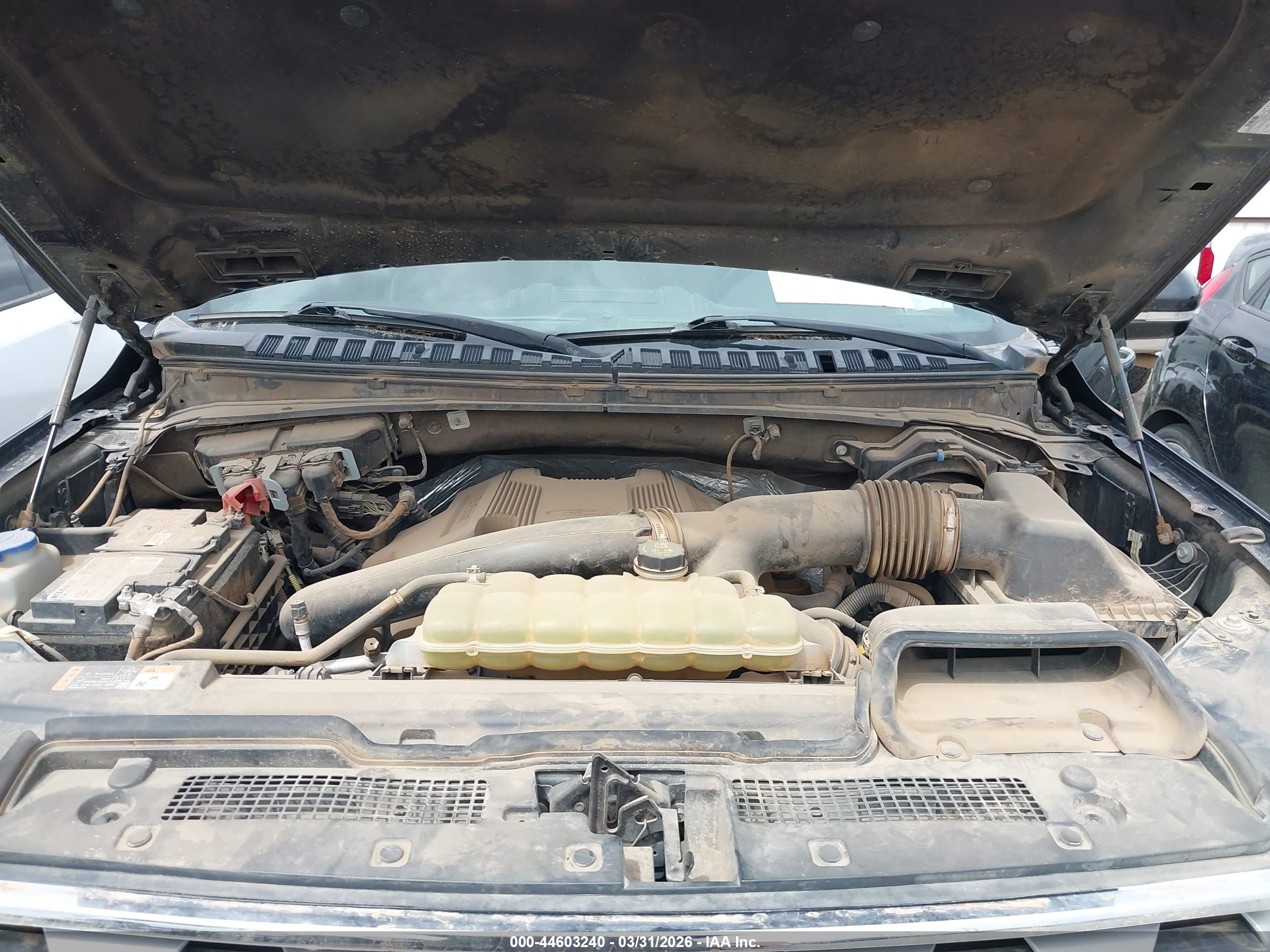 FORD EXPEDITION image 10
