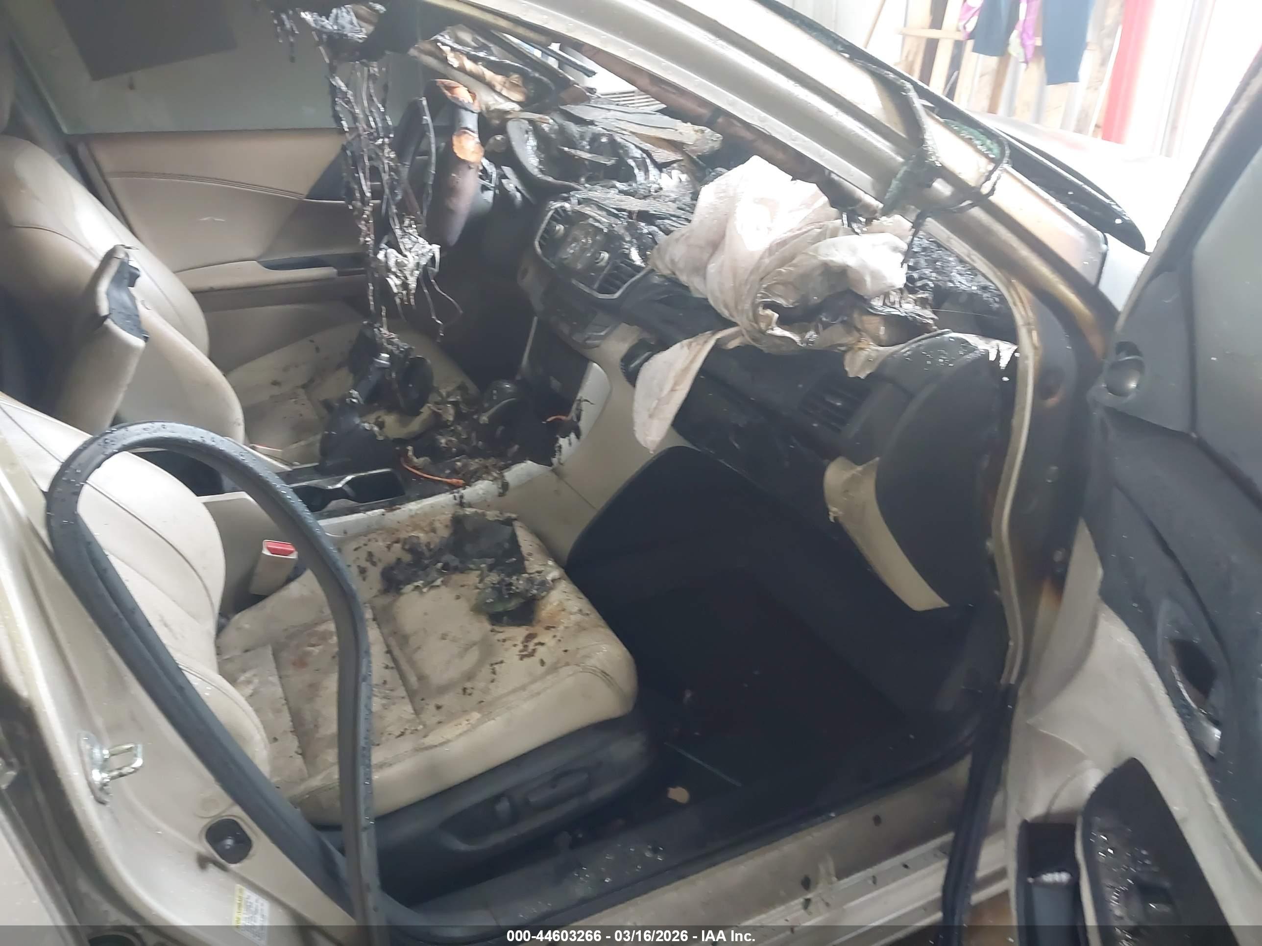 HONDA ACCORD image 5