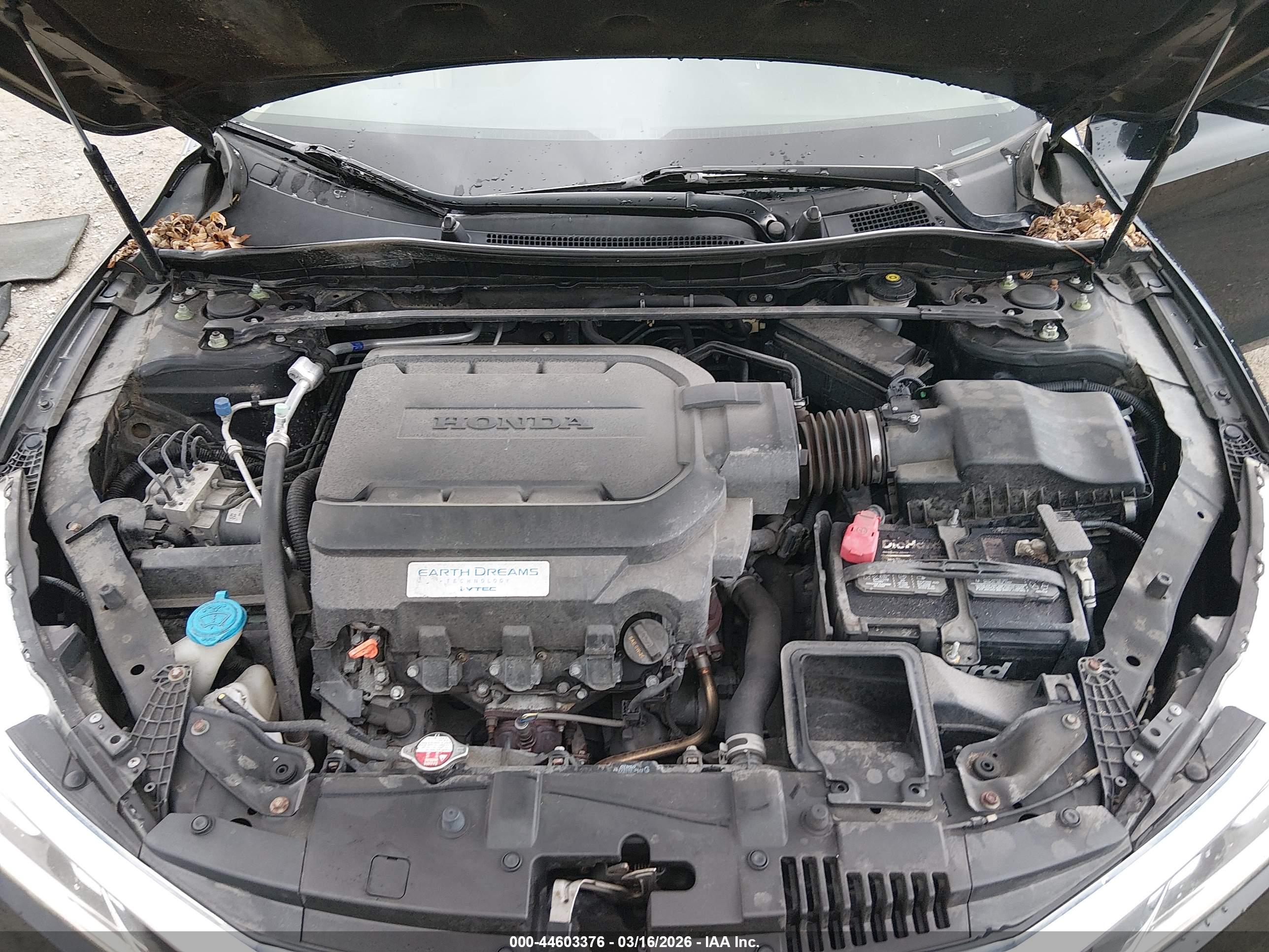 HONDA ACCORD image 10