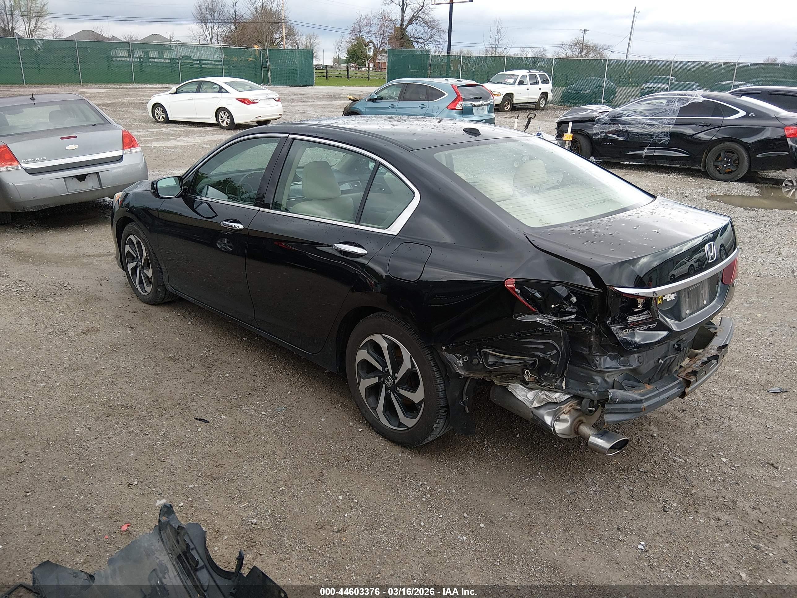 HONDA ACCORD image 3