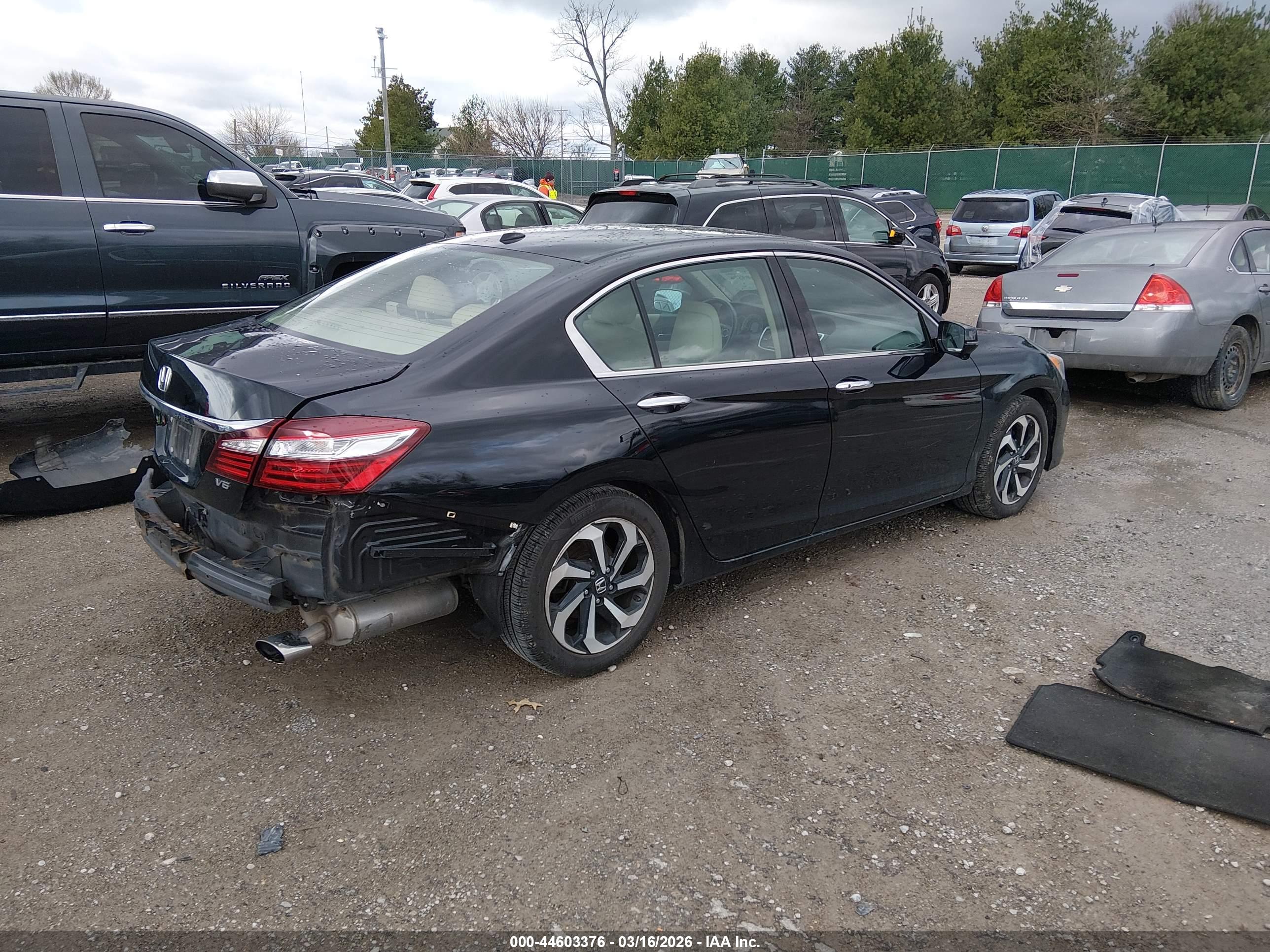HONDA ACCORD image 4