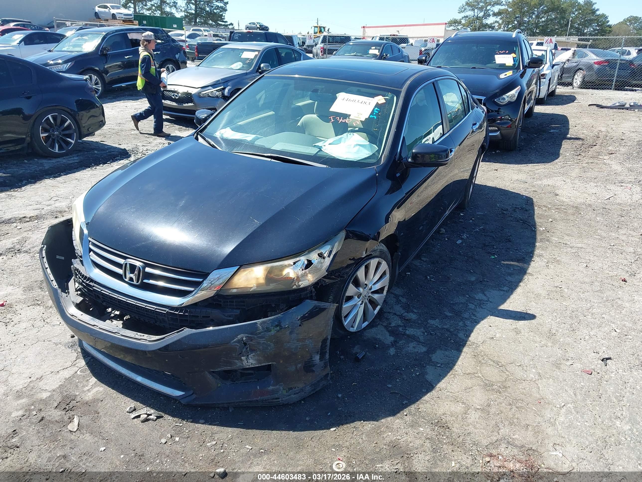 HONDA ACCORD image 2