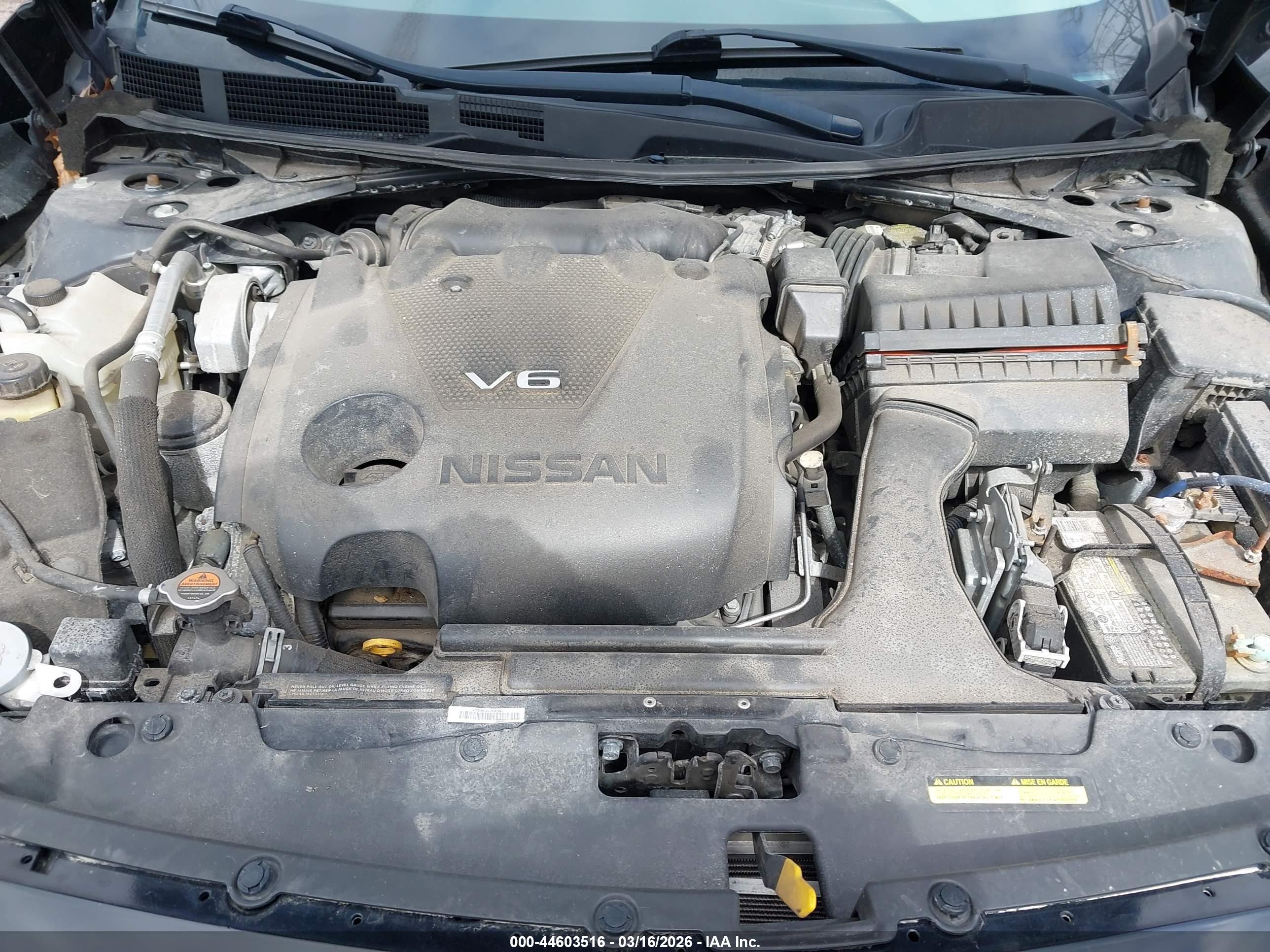 NISSAN MAXIMA image 10