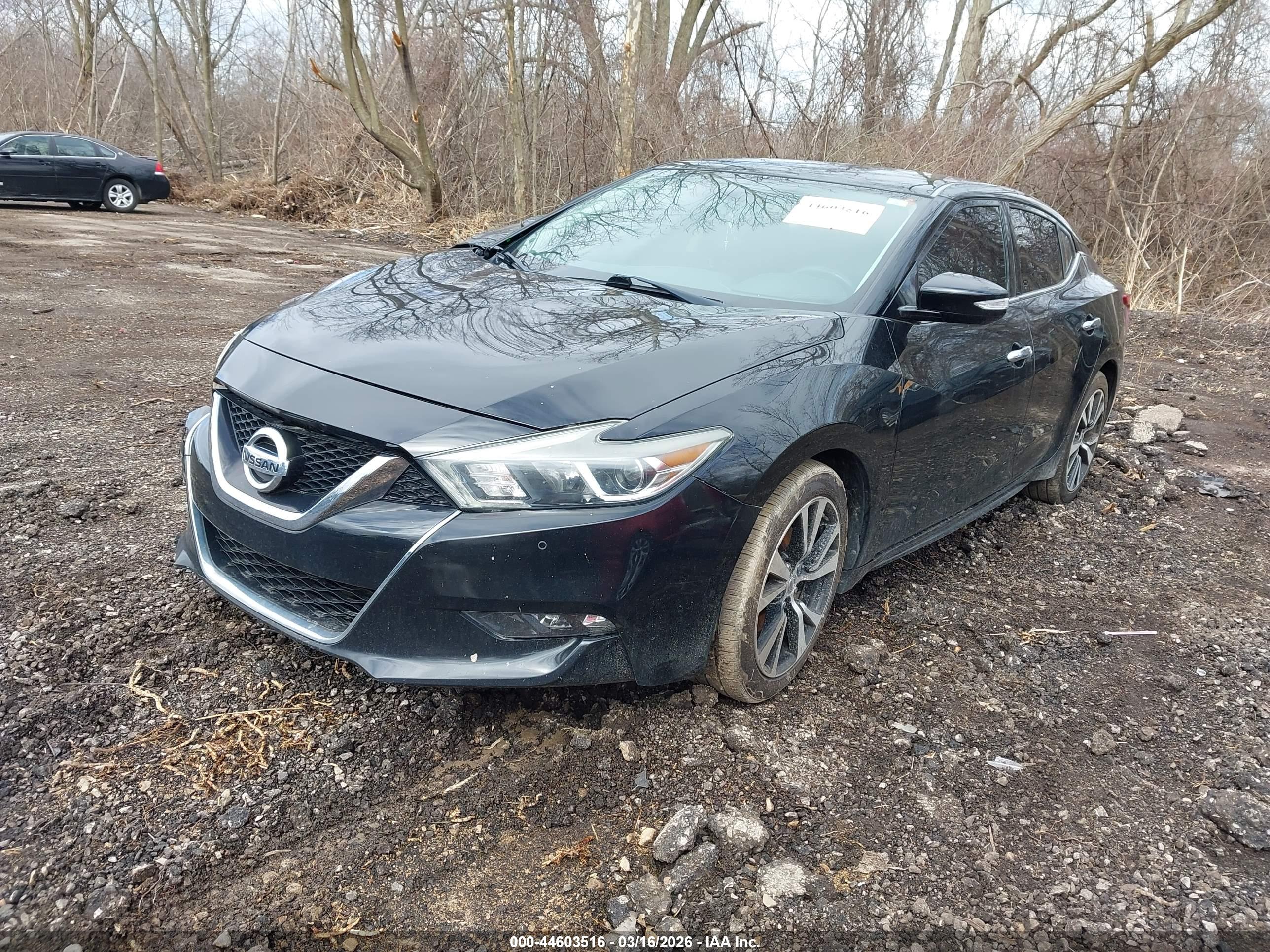NISSAN MAXIMA image 2