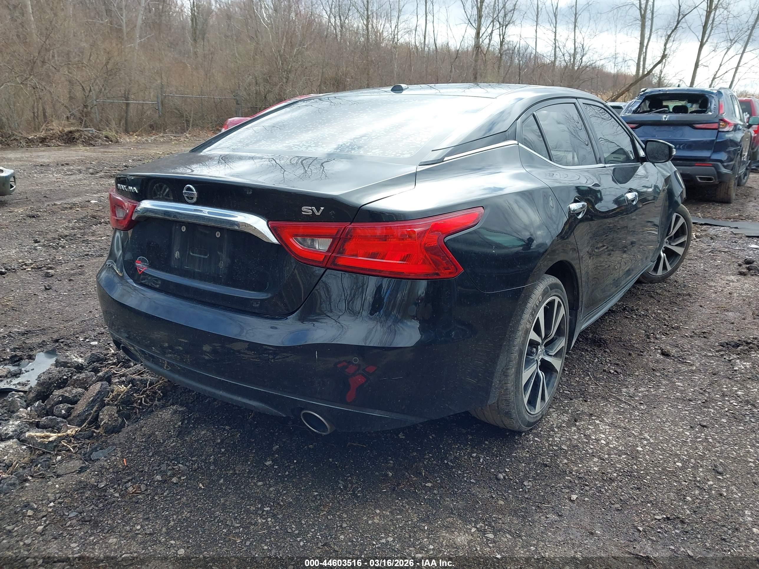 NISSAN MAXIMA image 4