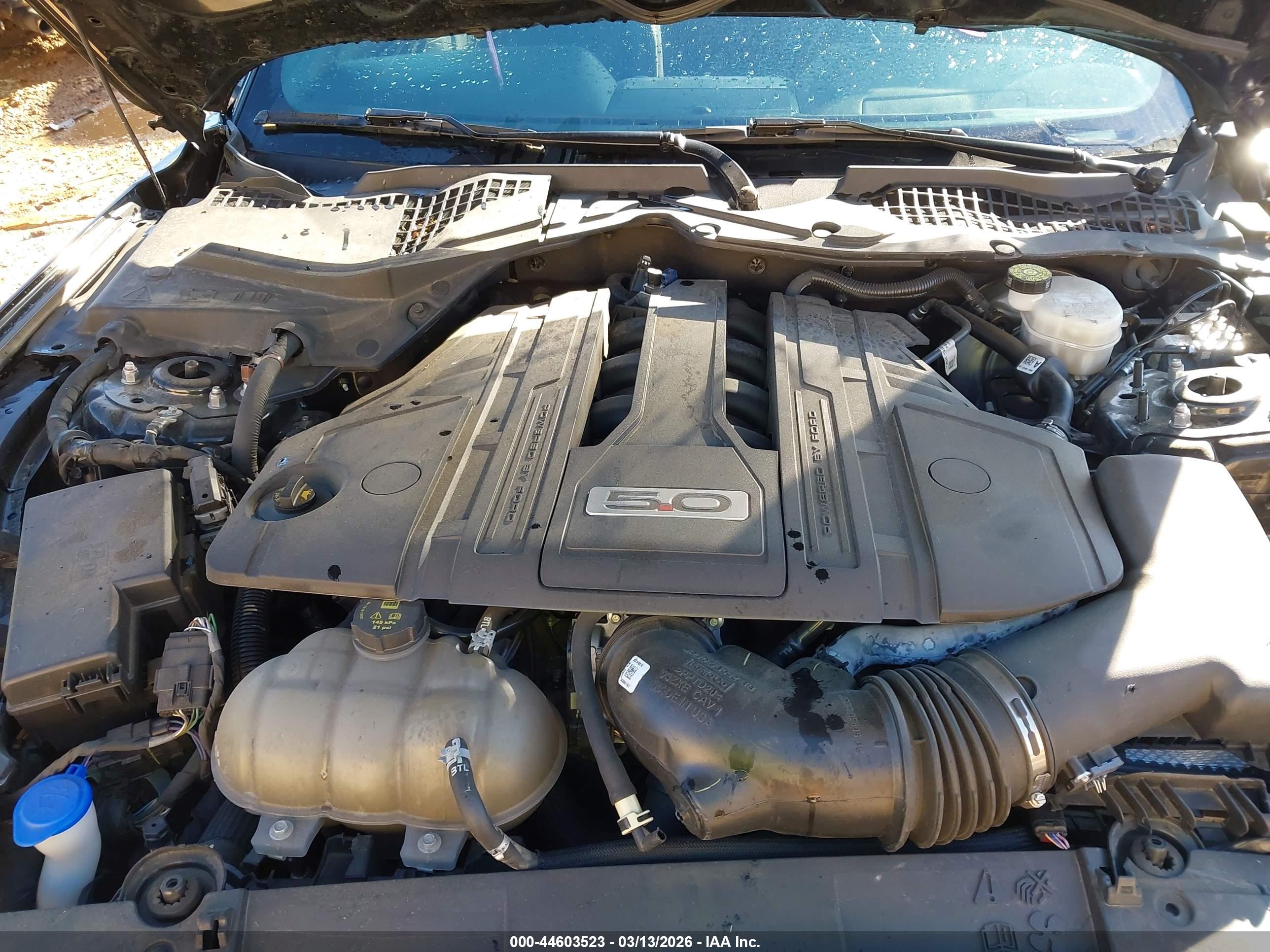 FORD MUSTANG image 10