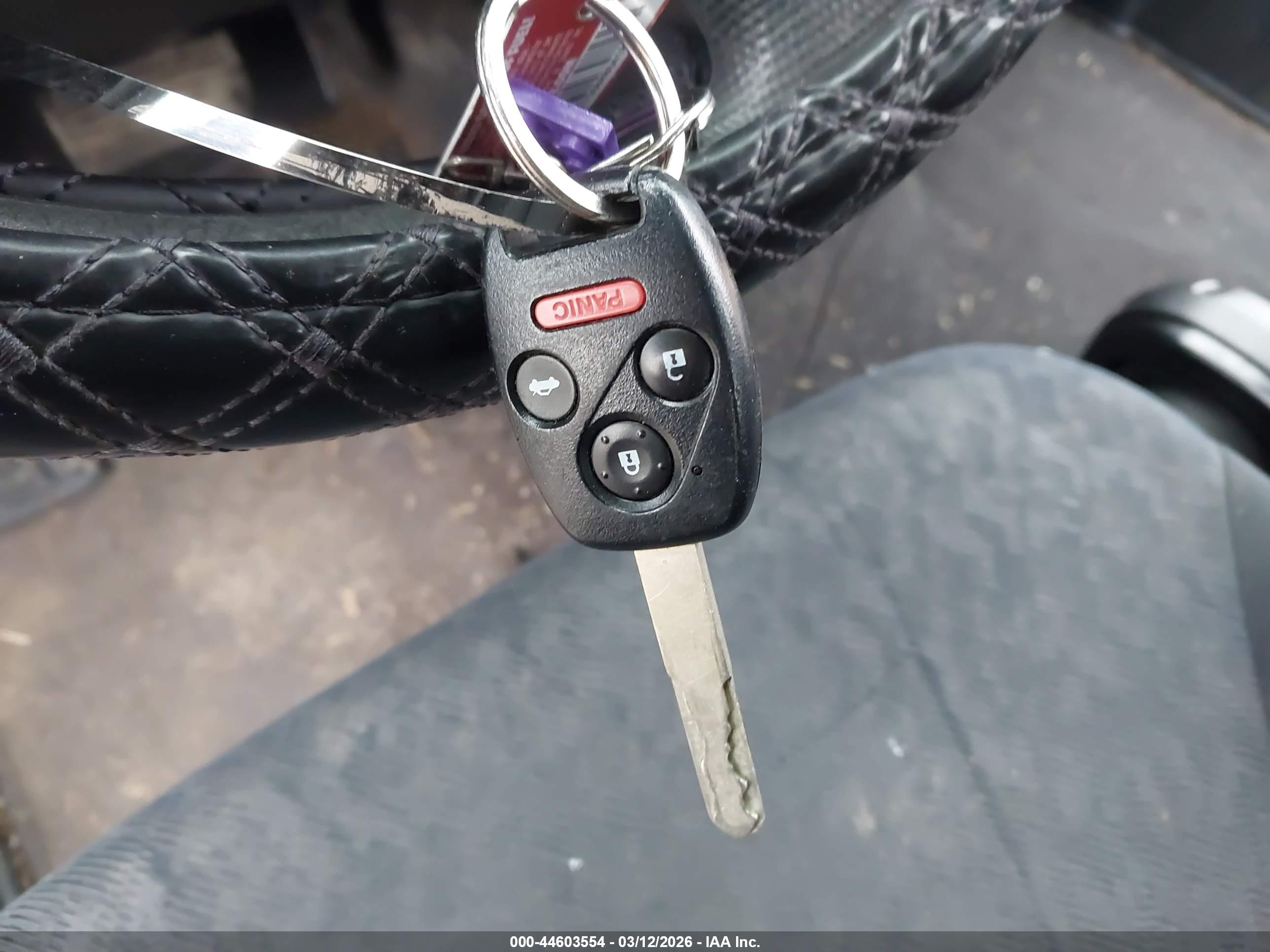 HONDA CR-V image 11