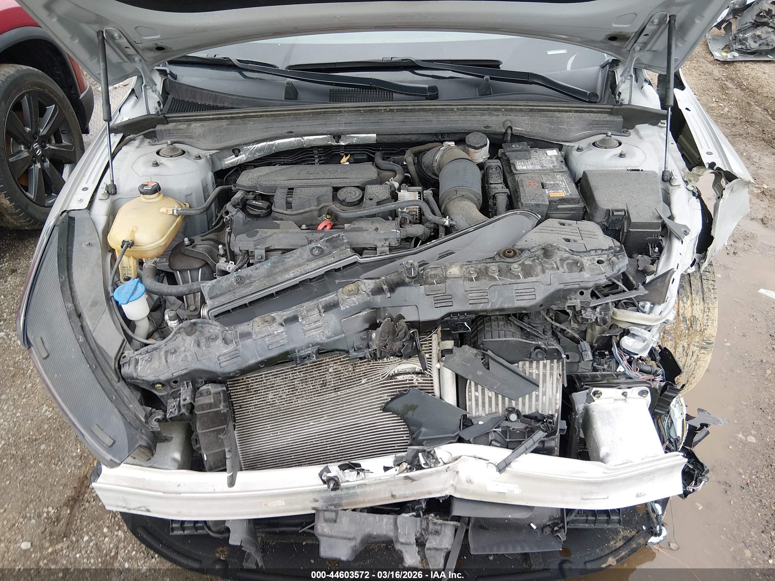 KIA K5 image 10