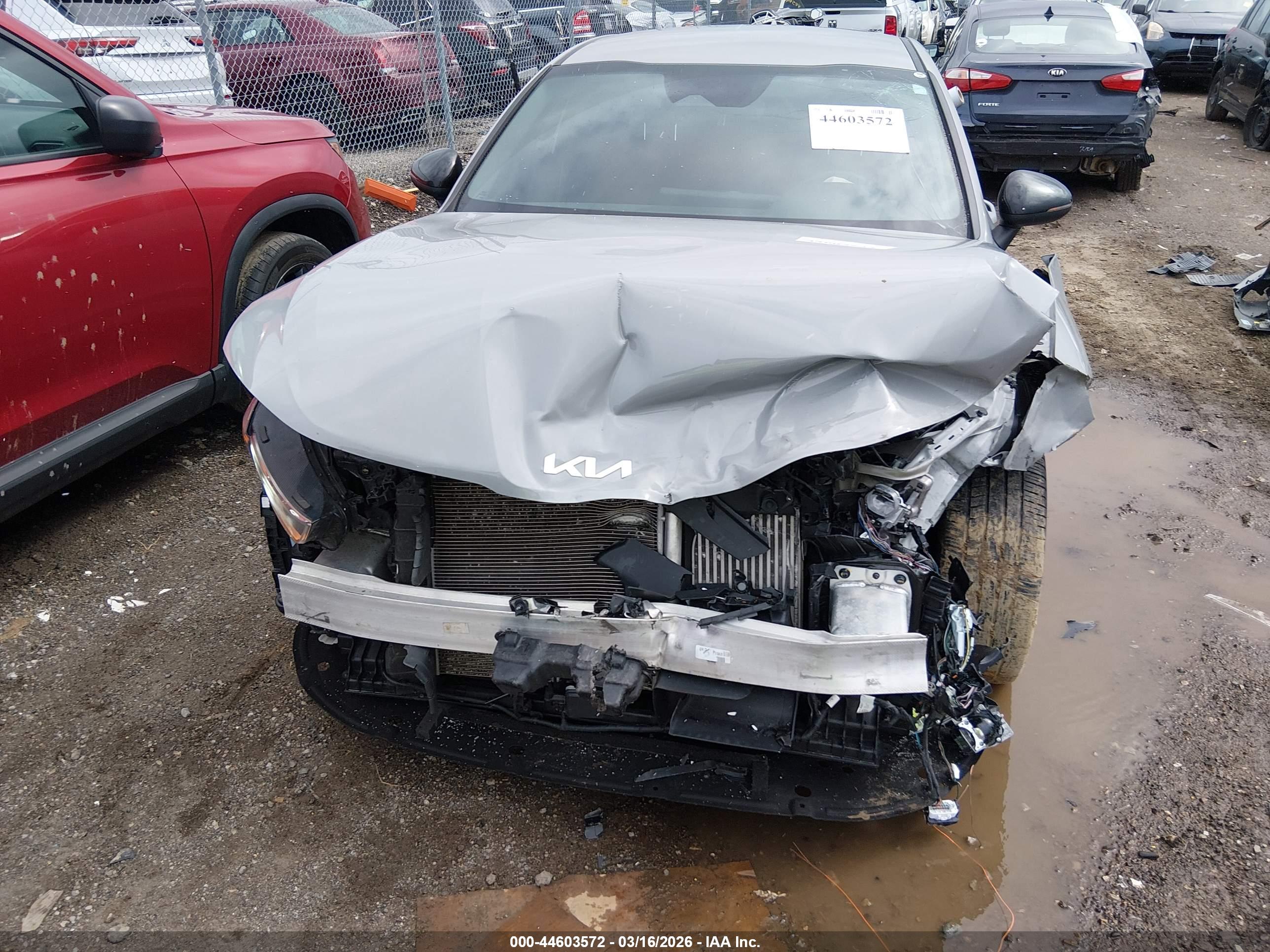 KIA K5 image 6