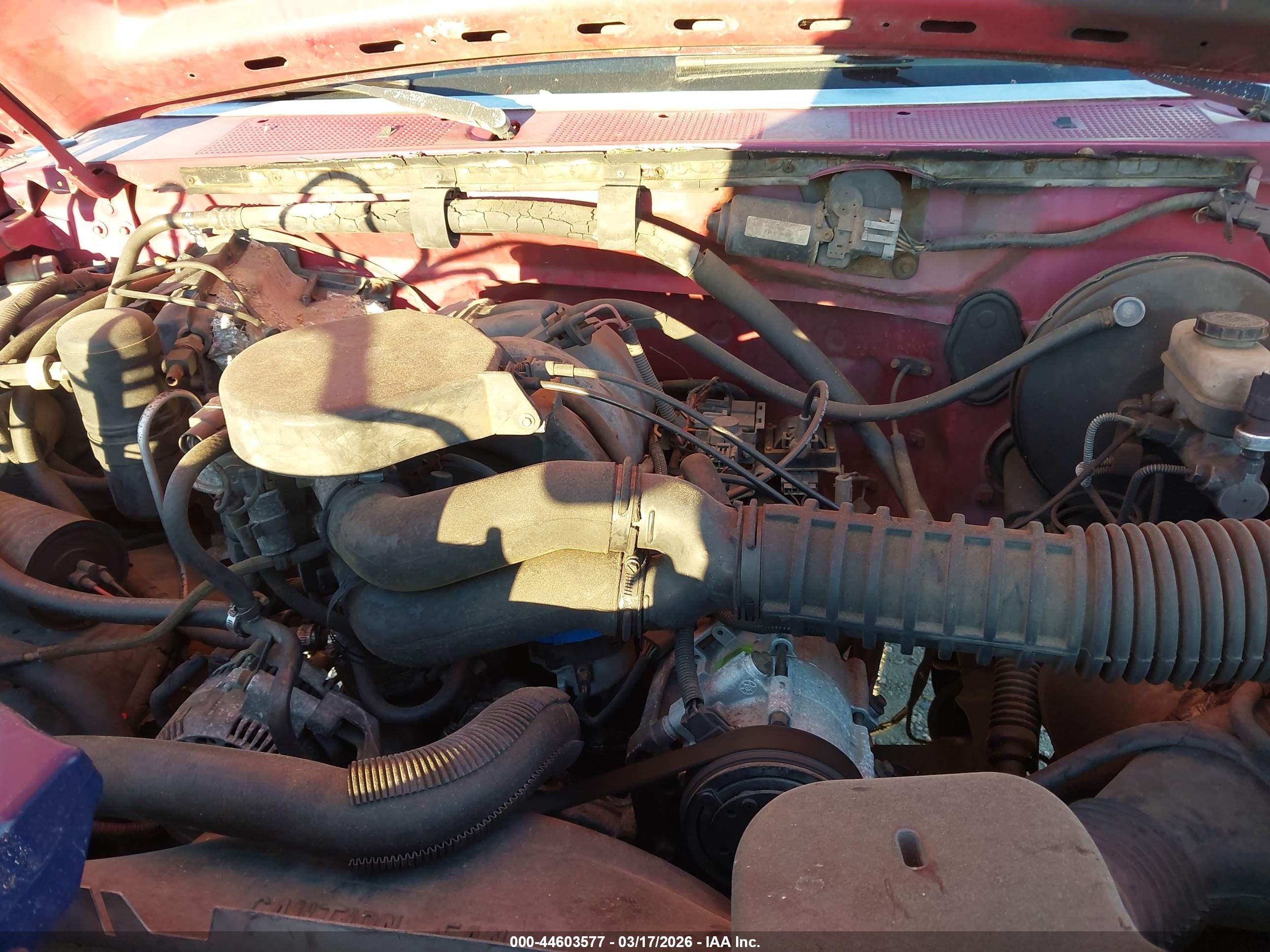 FORD F150 image 10