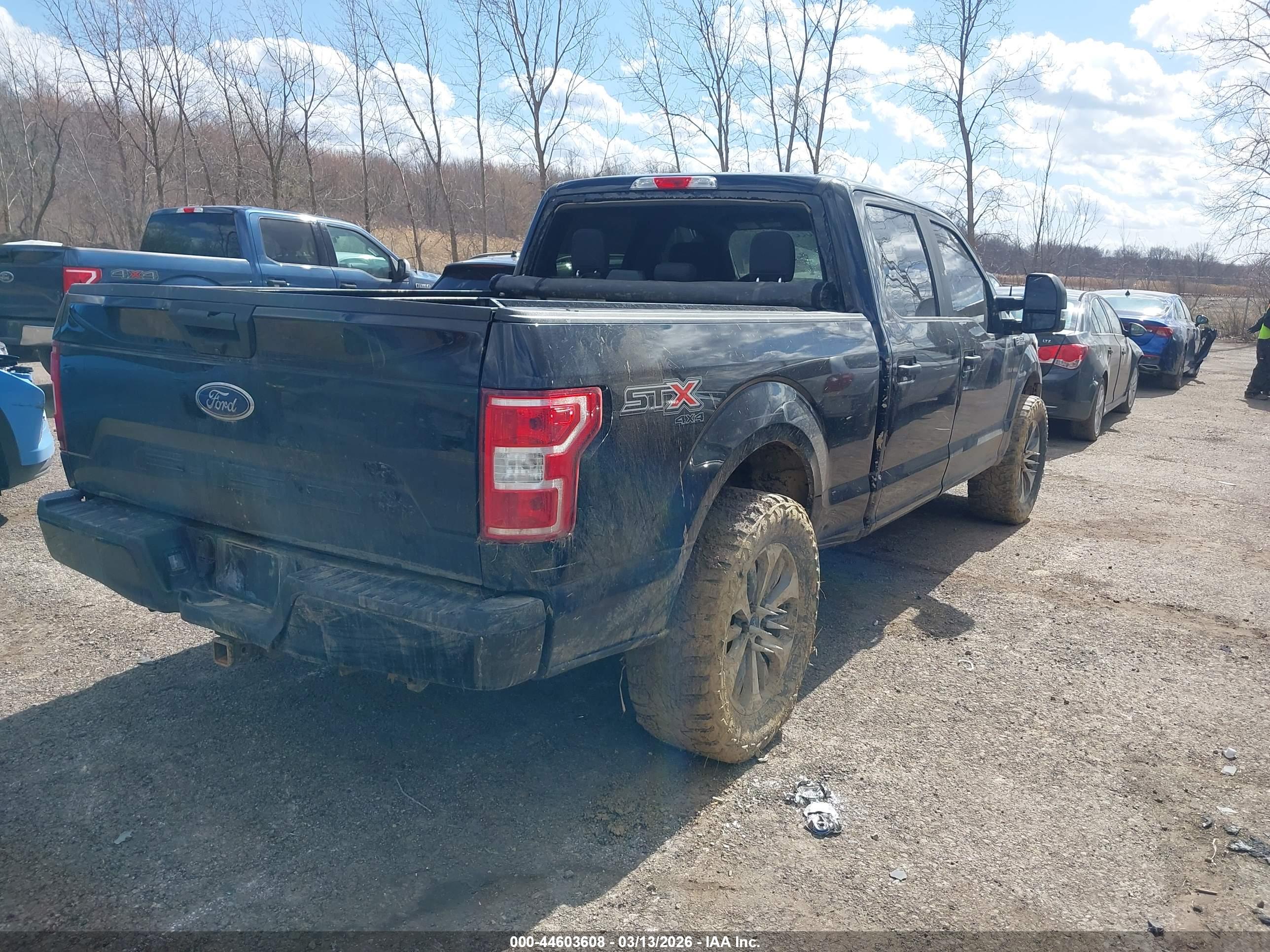 FORD F-150 image 4