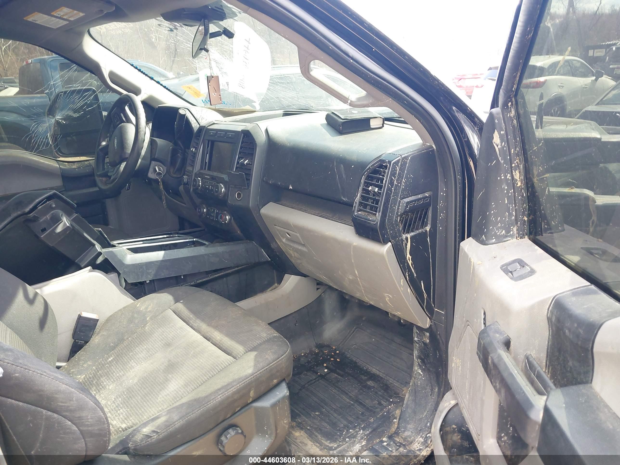 FORD F-150 image 5