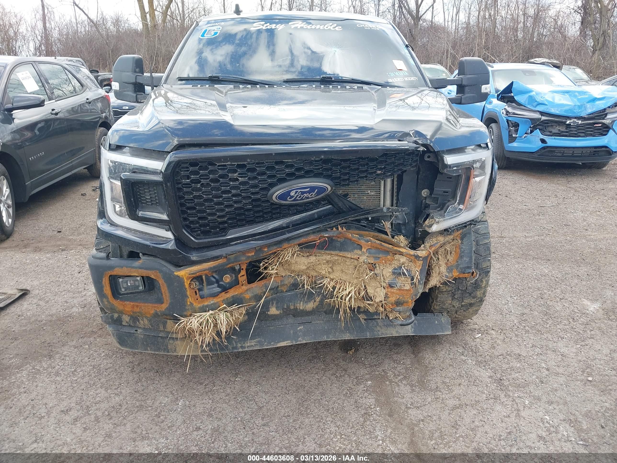 FORD F-150 image 6