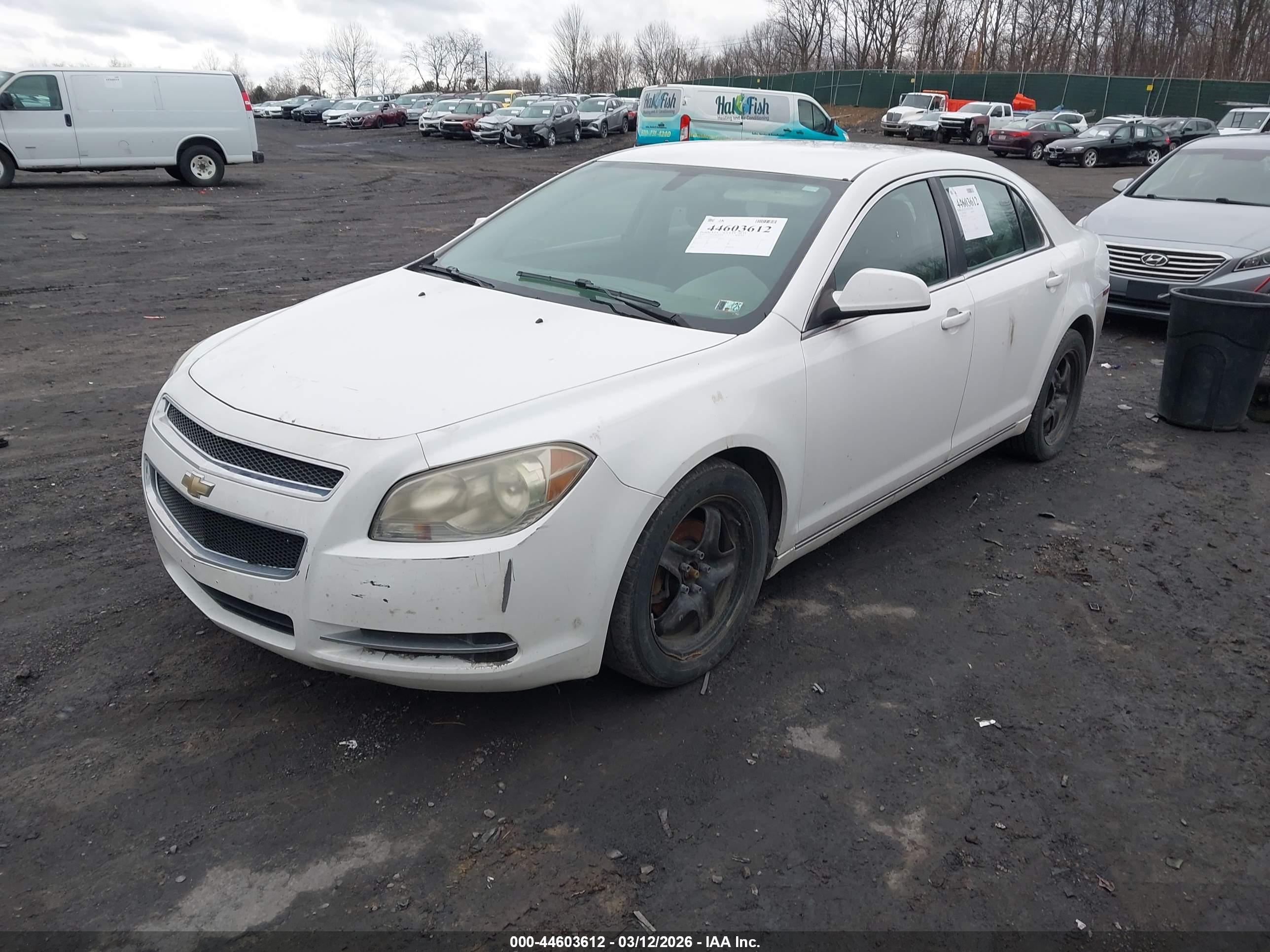 CHEVROLET MALIBU image 2