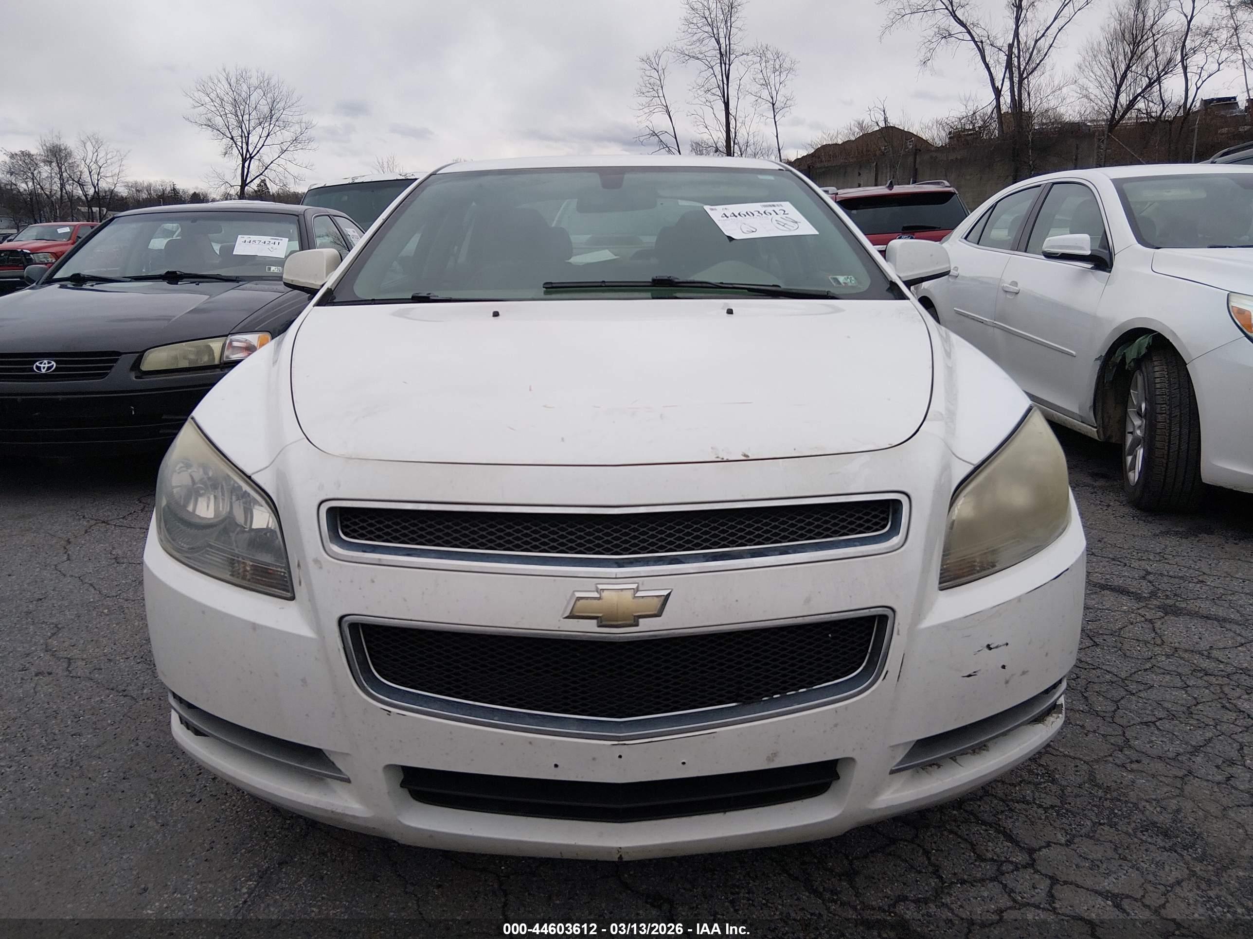 CHEVROLET MALIBU image 6