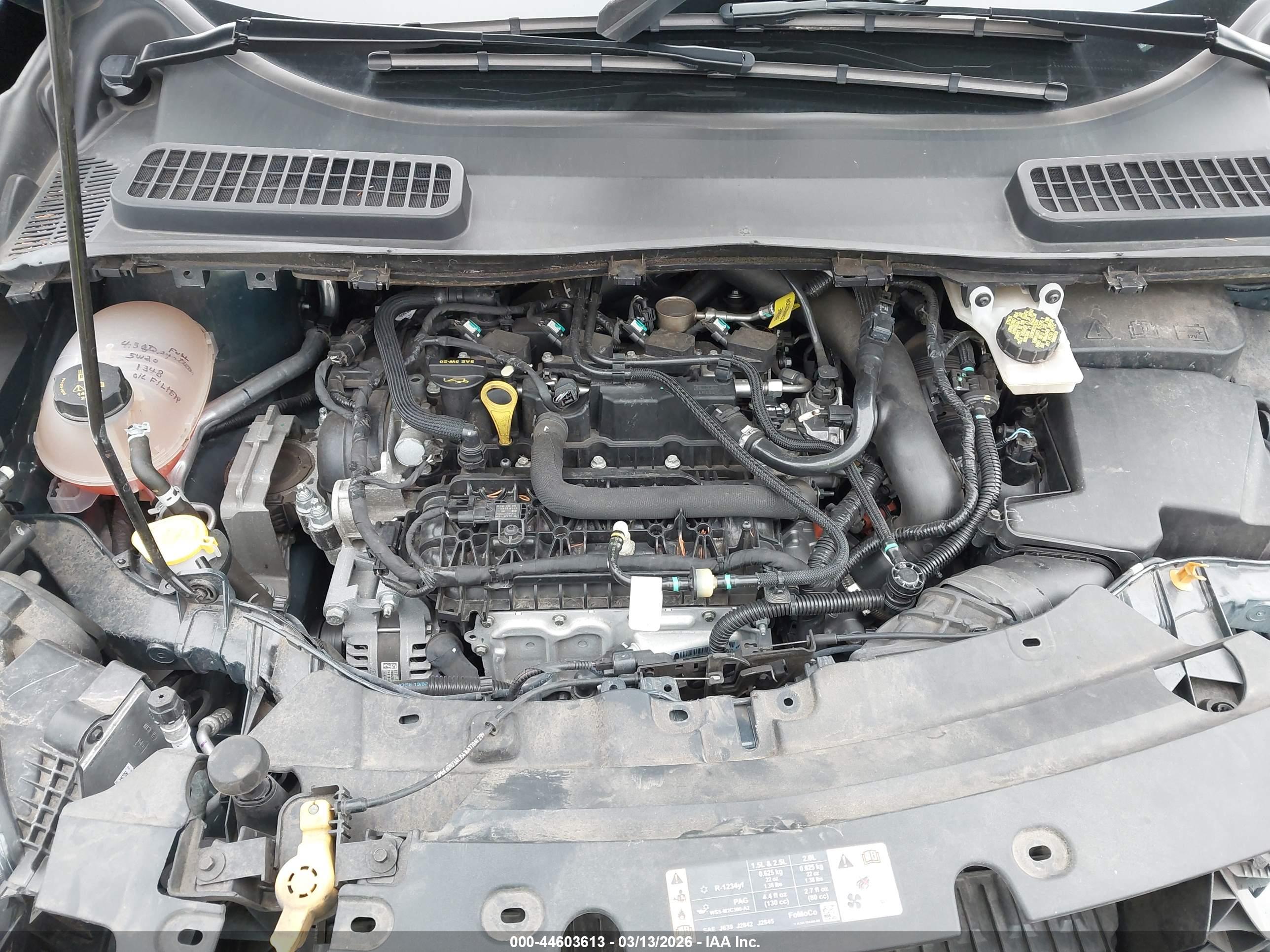 FORD ESCAPE image 10