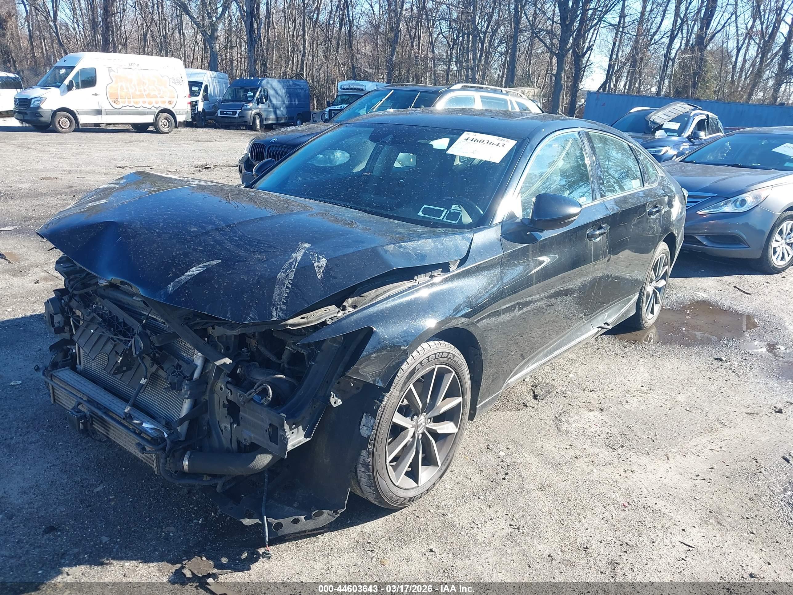 HONDA ACCORD image 2