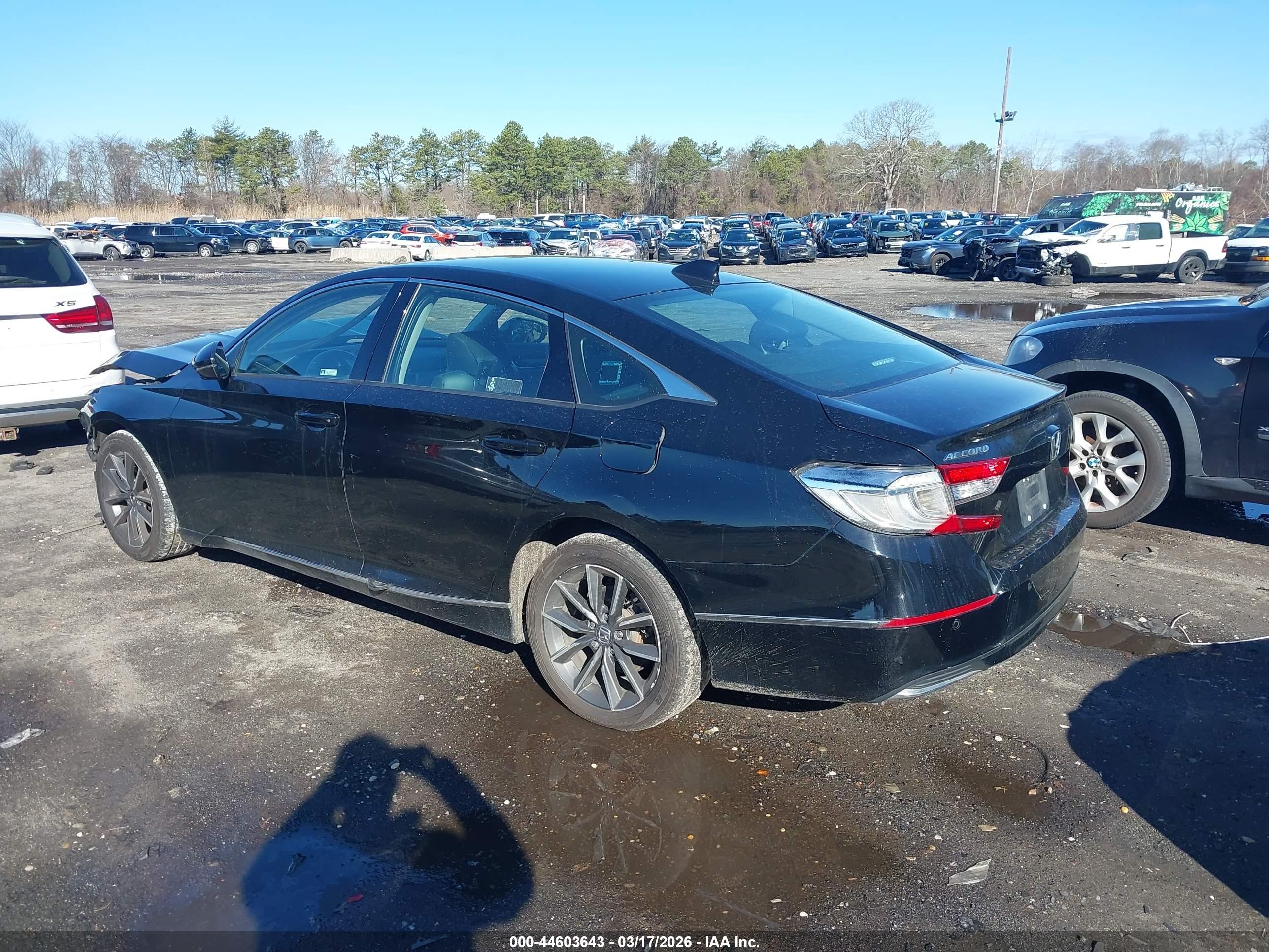 HONDA ACCORD image 3
