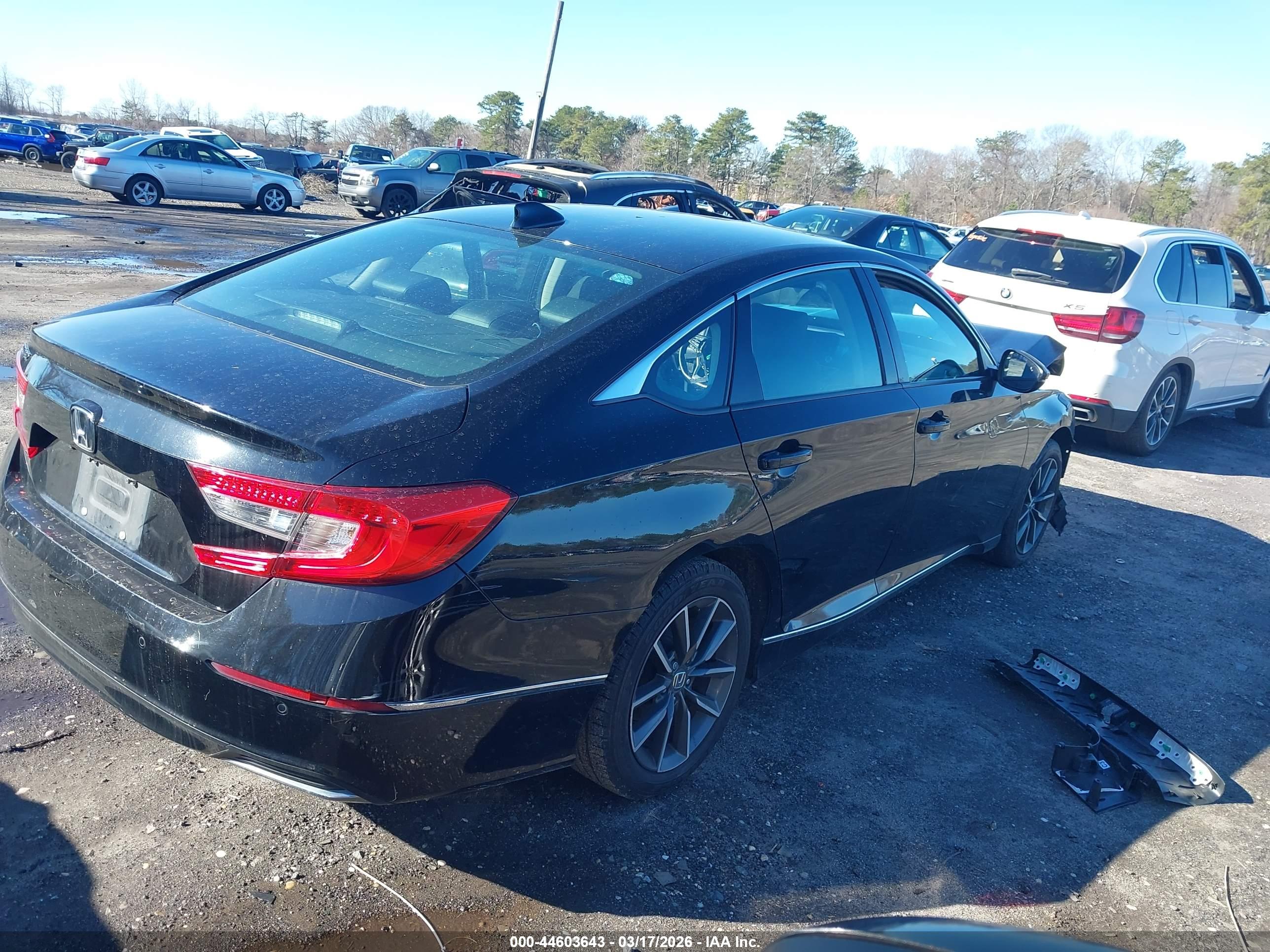 HONDA ACCORD image 4
