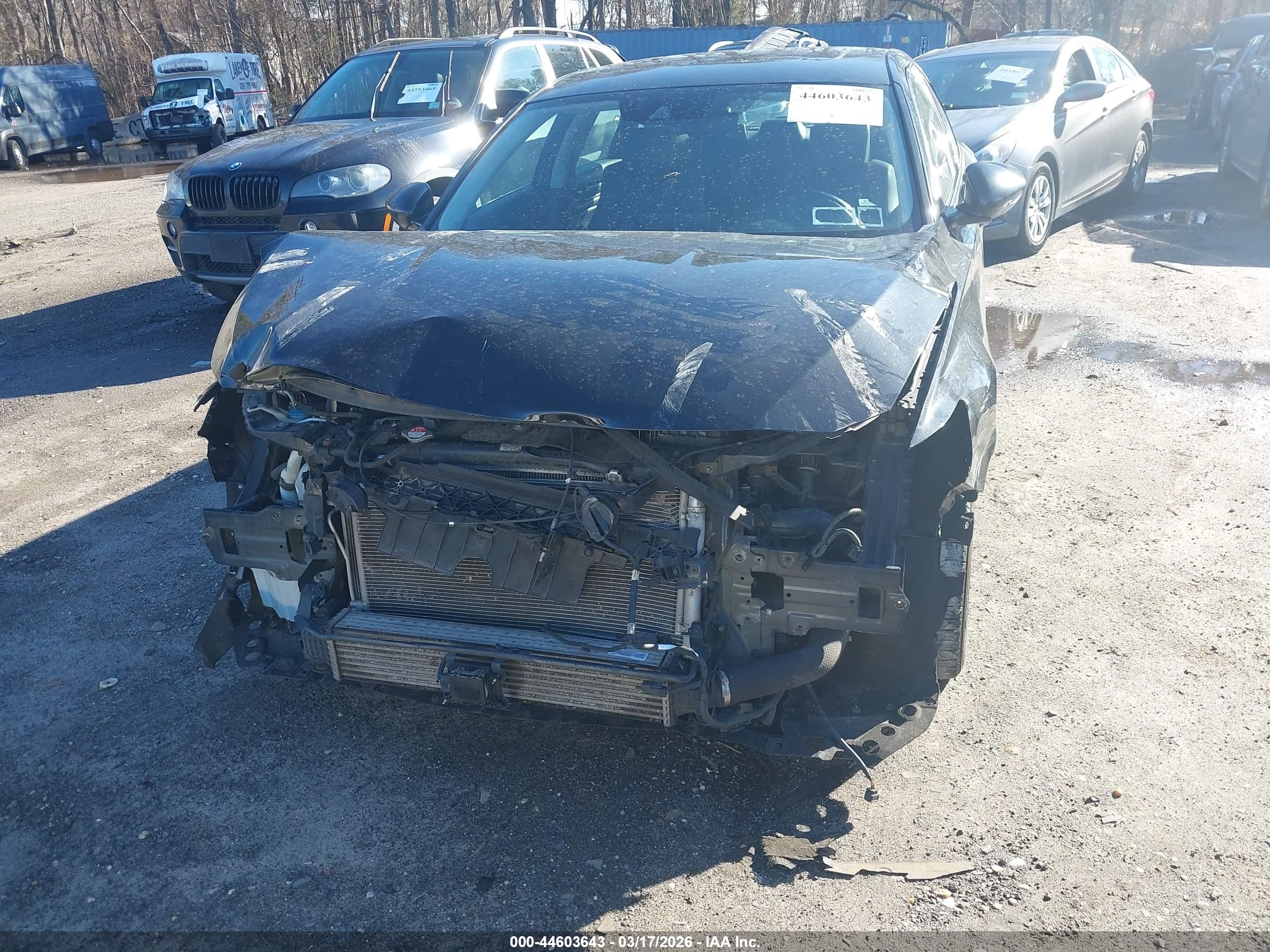 HONDA ACCORD image 6
