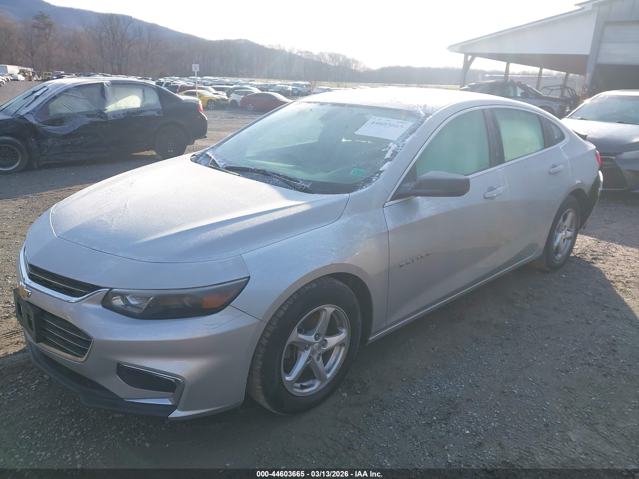CHEVROLET MALIBU image 2