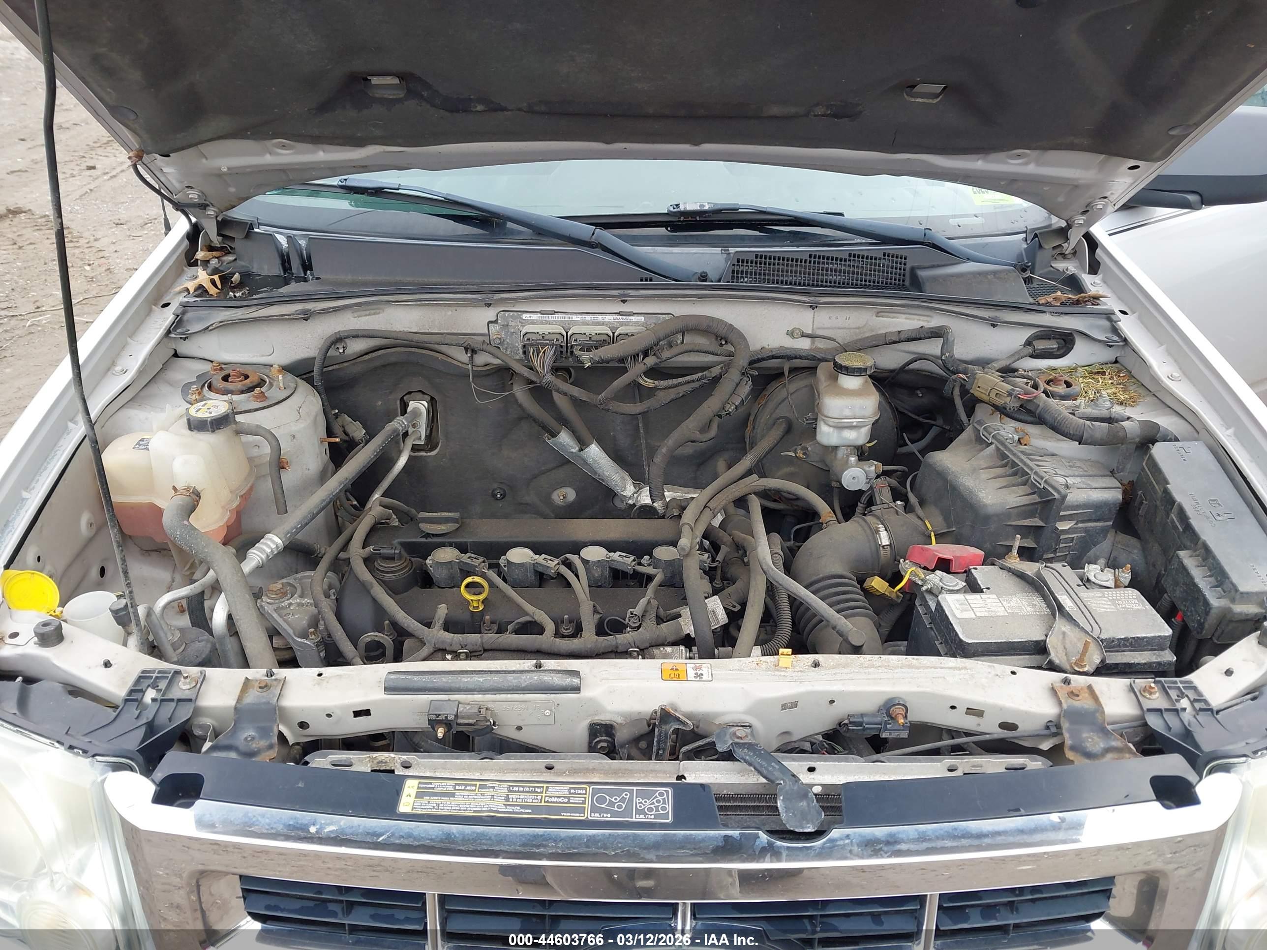 FORD ESCAPE image 10