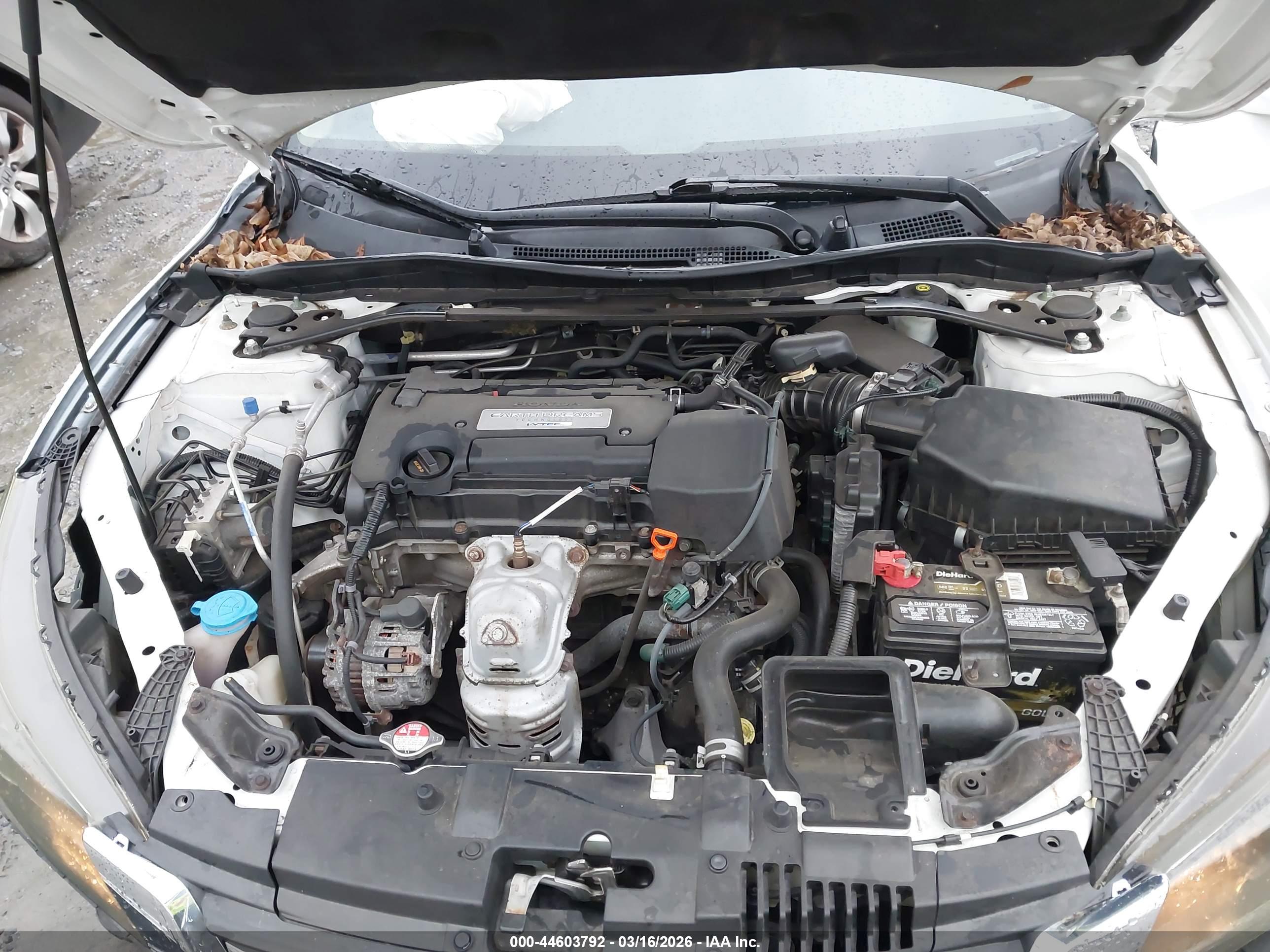HONDA ACCORD image 10