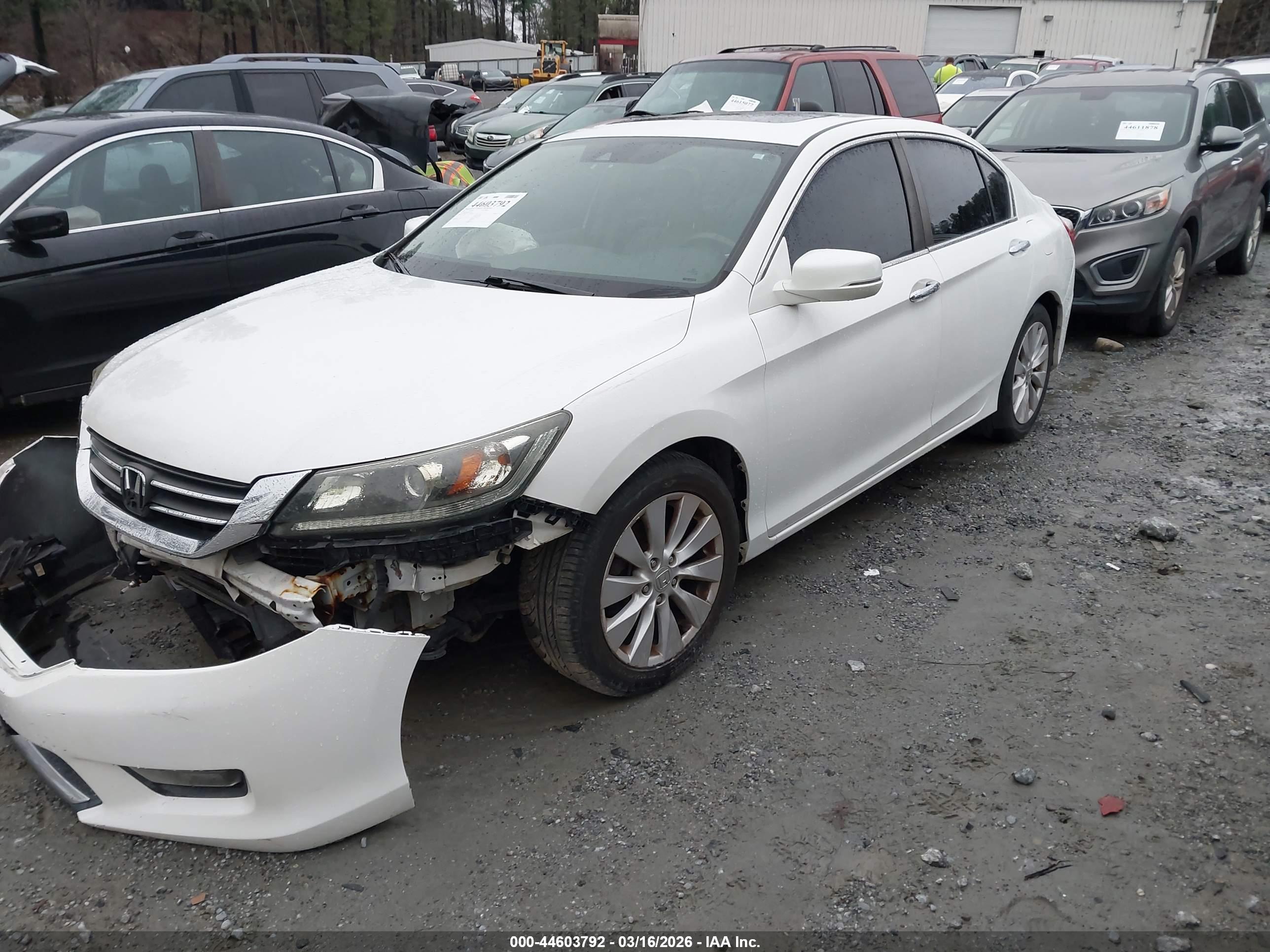 HONDA ACCORD image 2