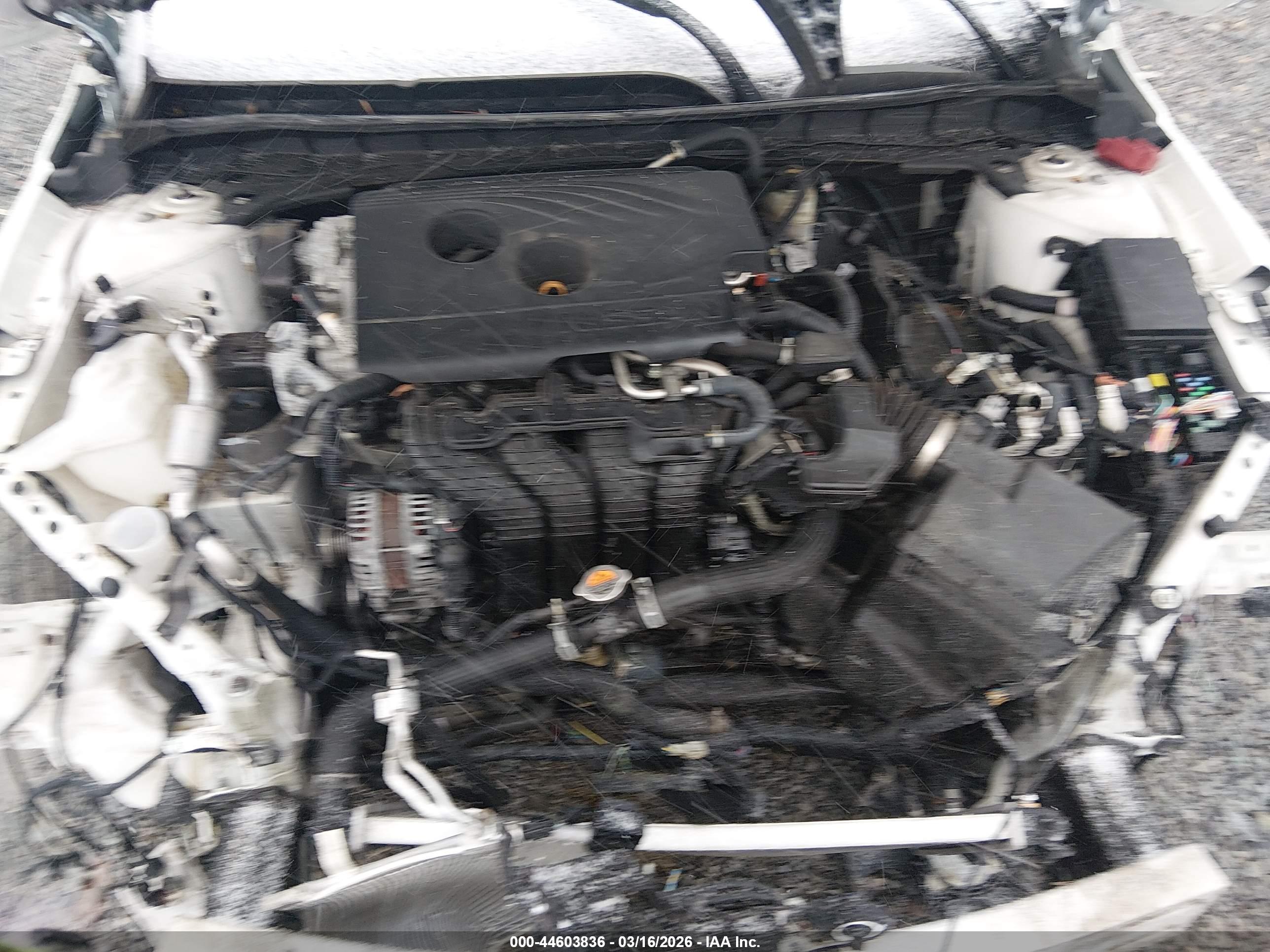 NISSAN ALTIMA image 10