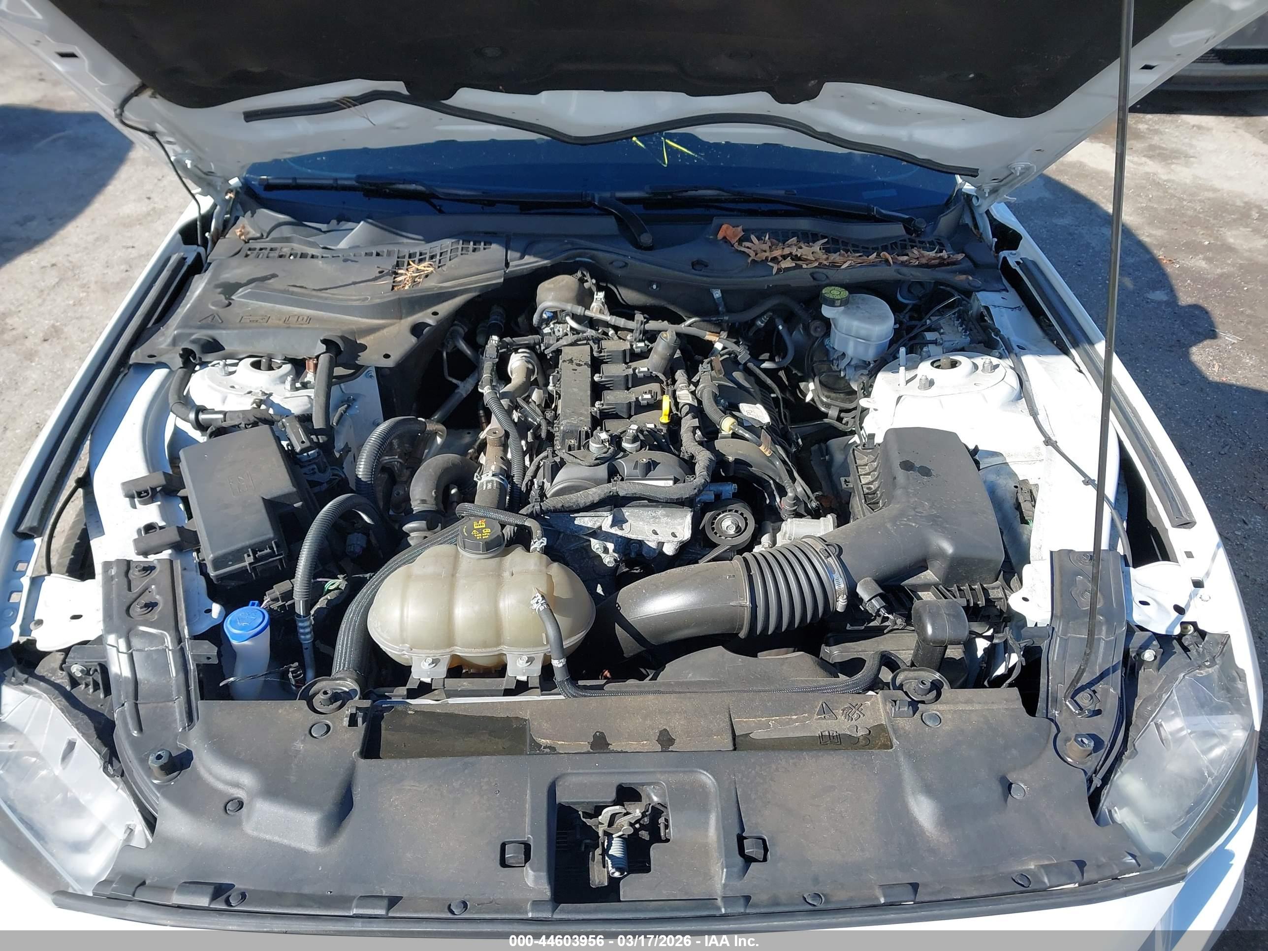 FORD MUSTANG image 10