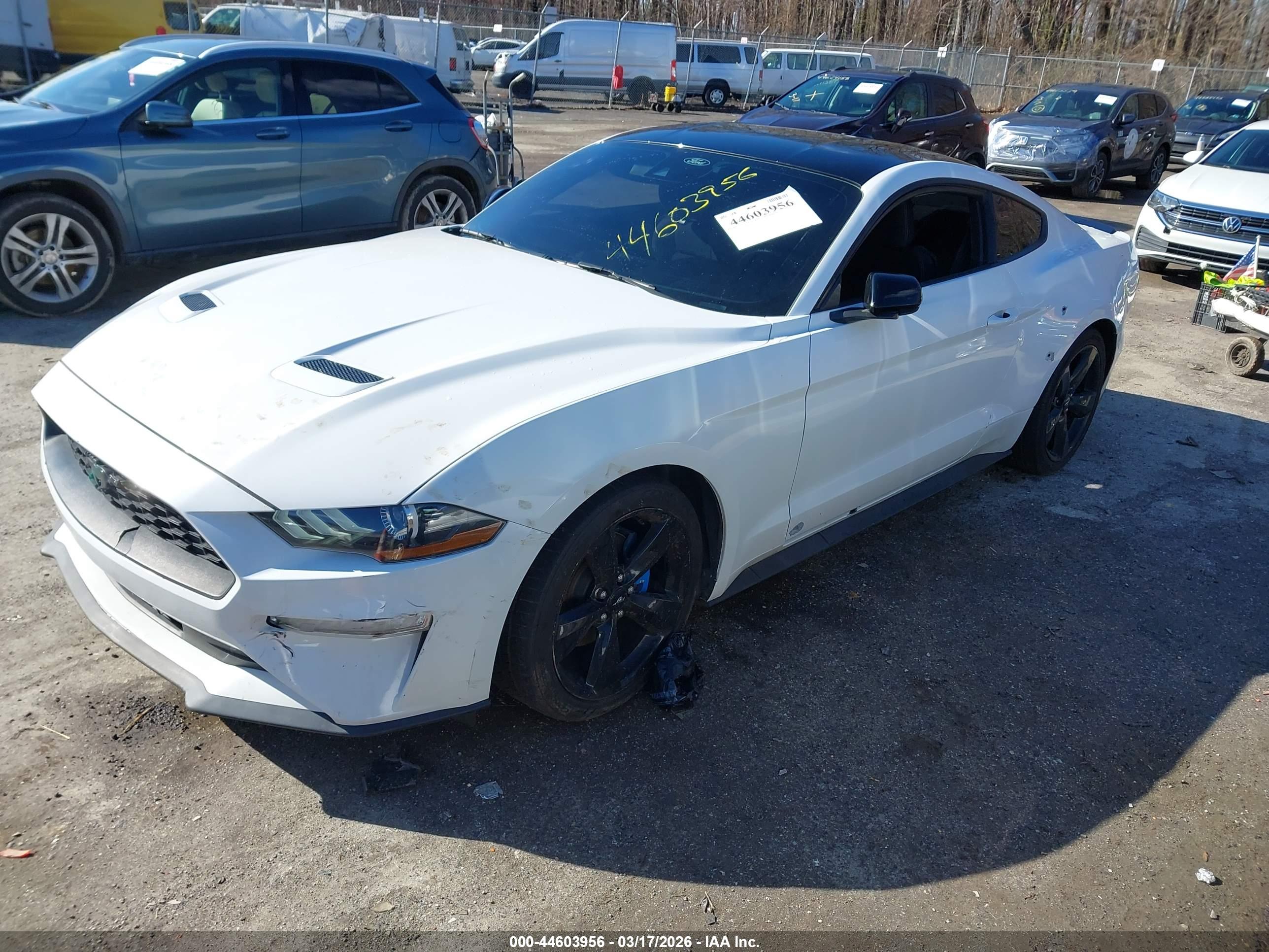 FORD MUSTANG image 2