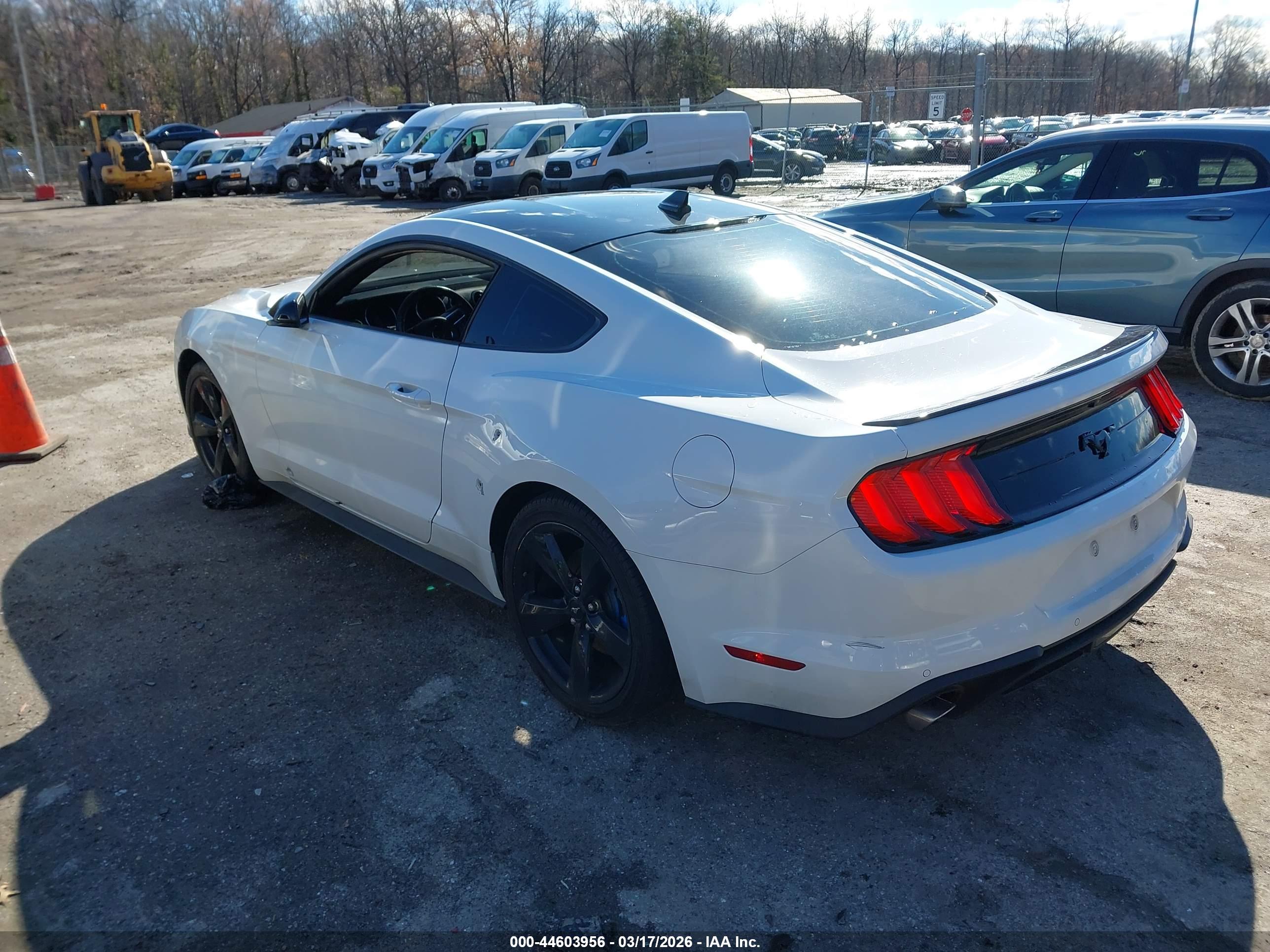 FORD MUSTANG image 3
