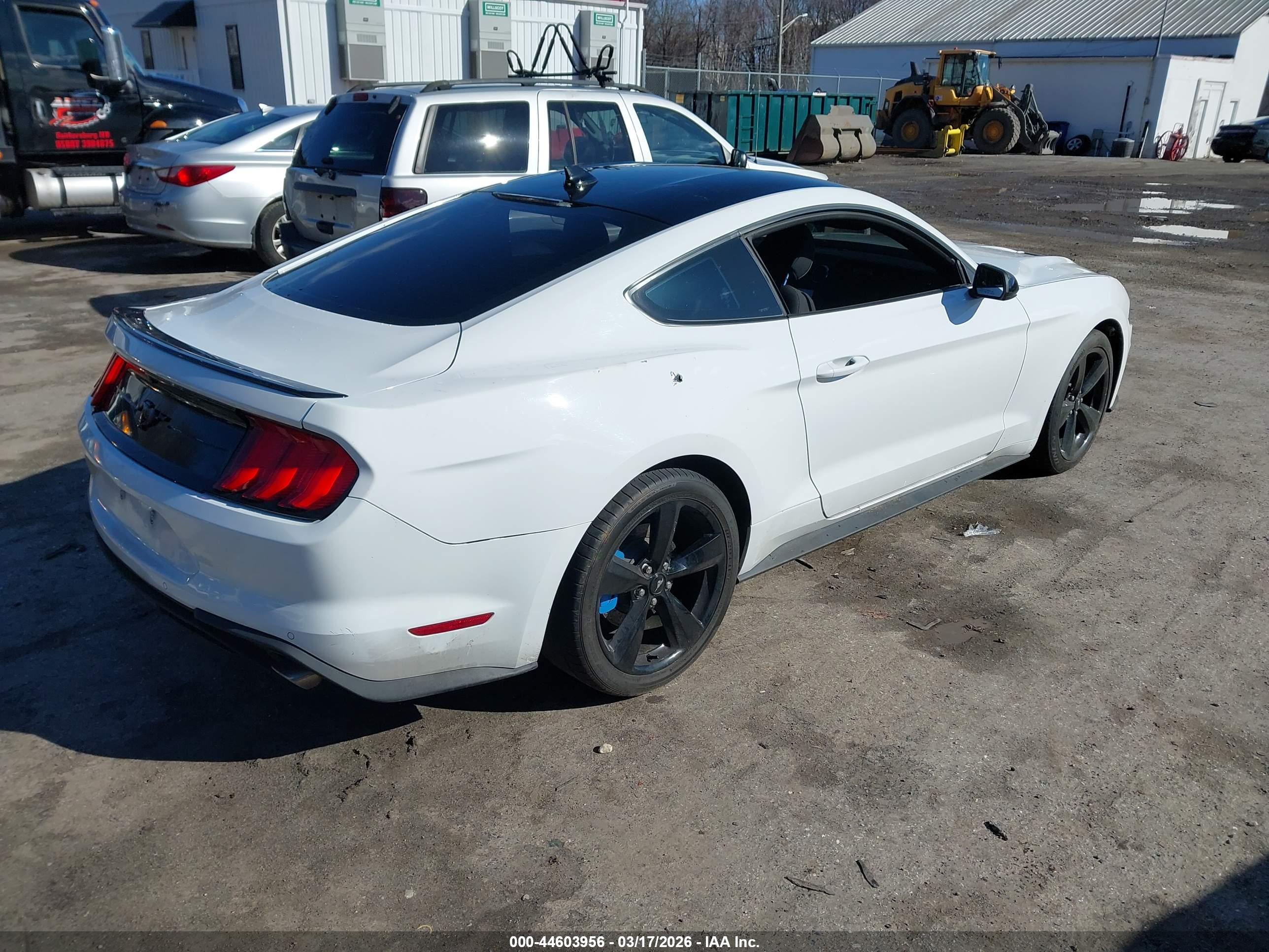 FORD MUSTANG image 4